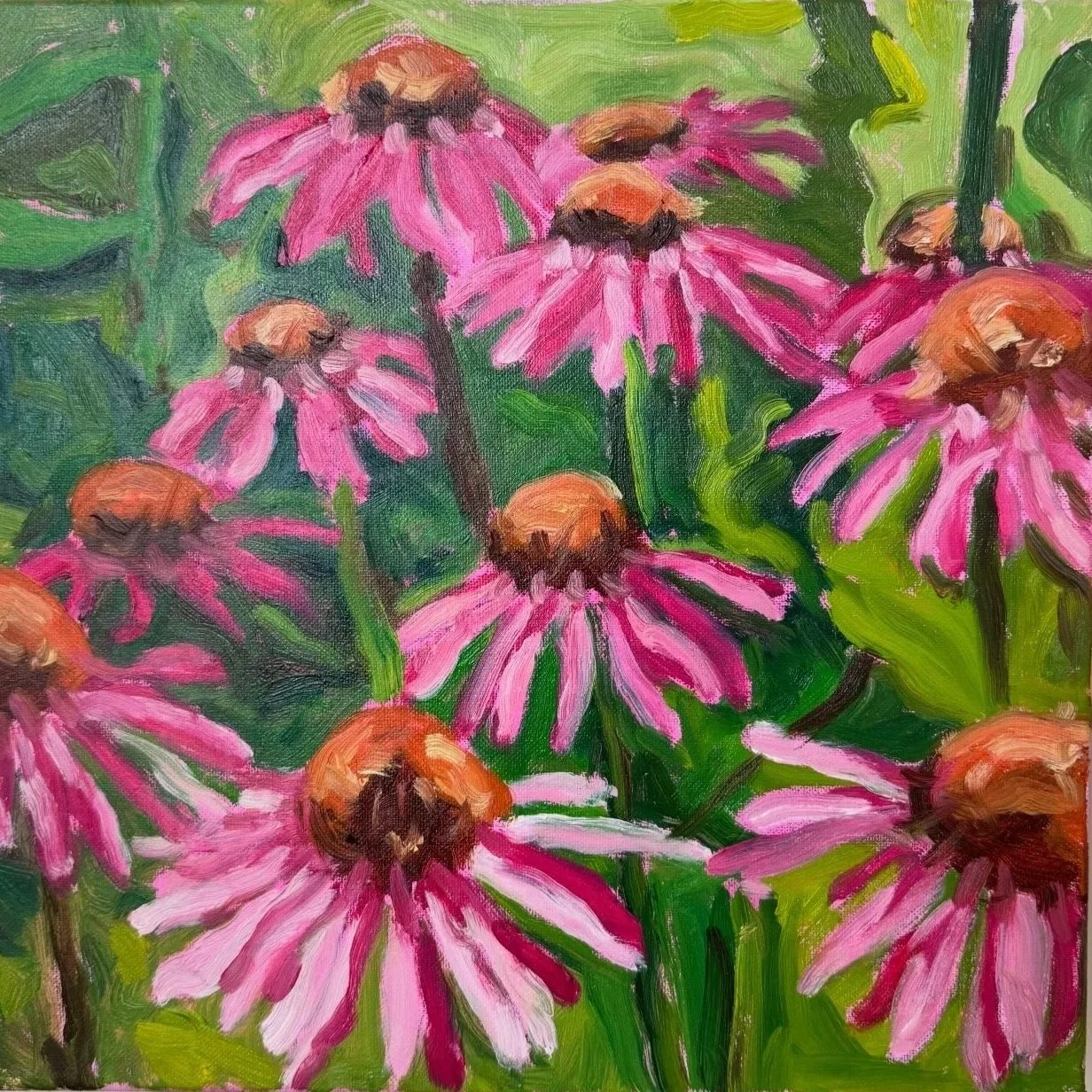 Pink Echinacea, 
Oil paint on canvas,
14"x14" - 2026. 
Painting of pink coneflowers with green leaves.
