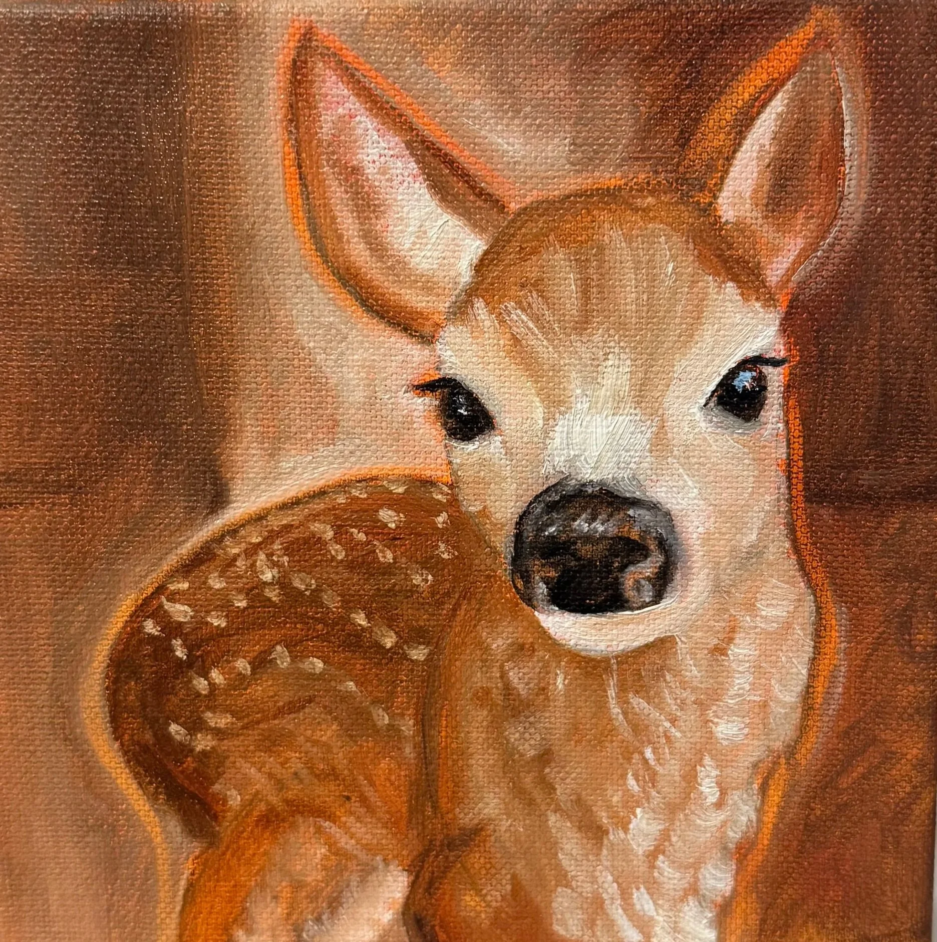 Fawn,
Oil paint on canvas, 
6"x6" - 2026. Painting of a young deer with a white face and big eyes, standing against a brown background.