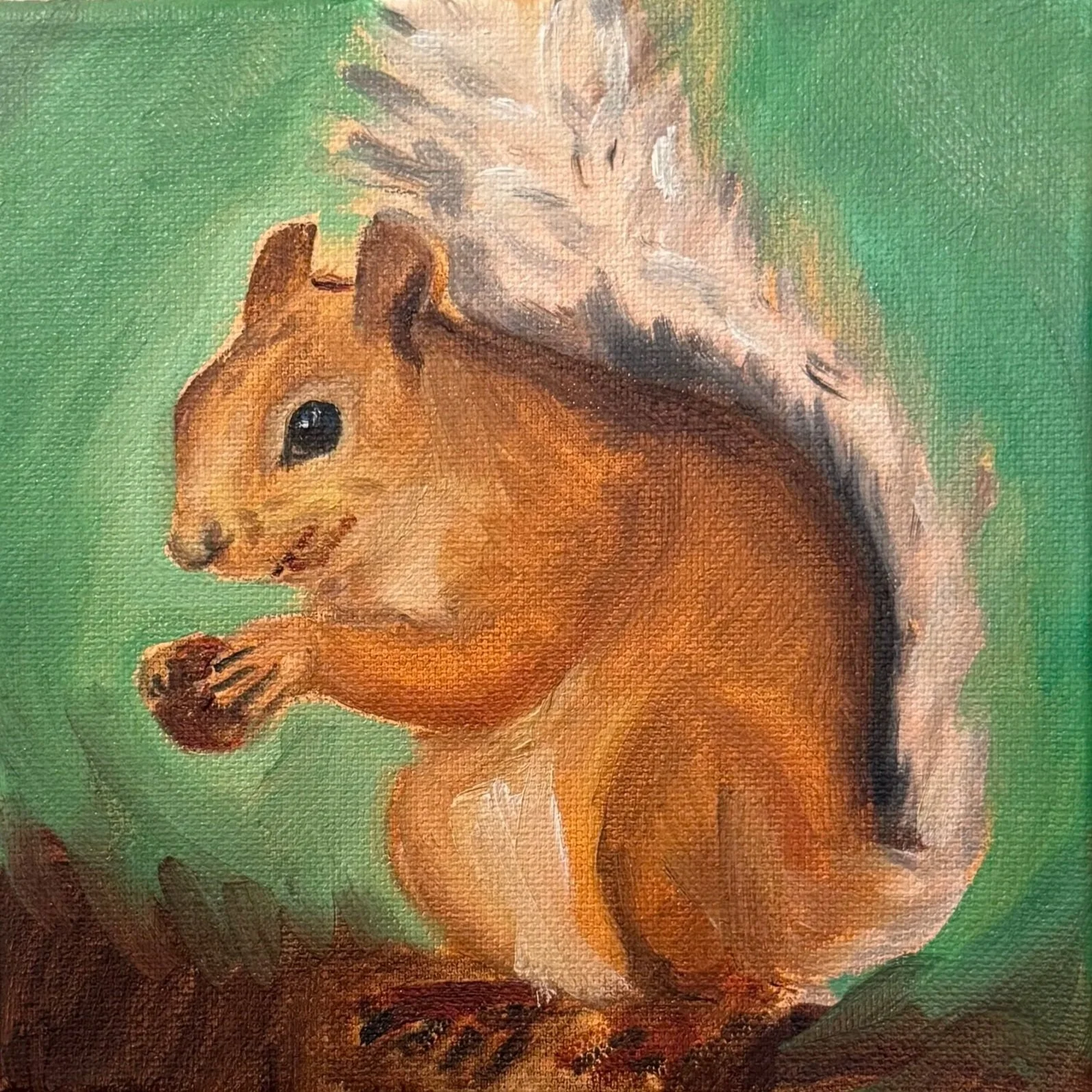 Squirrel and Nut, Oil paint on canvas, 6"x6" - 2025. Painting of a squirrel with a large bushy tail, and black eyes, holding a nut.
