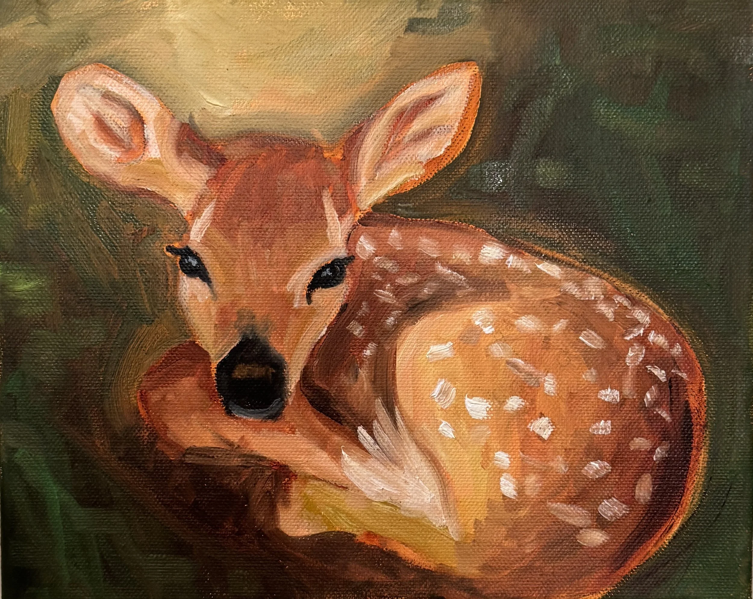 Fawn Resting,
Oil on canvas,
8"x10" - 2025.
Close-up of a painting of a fawn with large eyes, ears, and white spots on its back, set against a dark background.