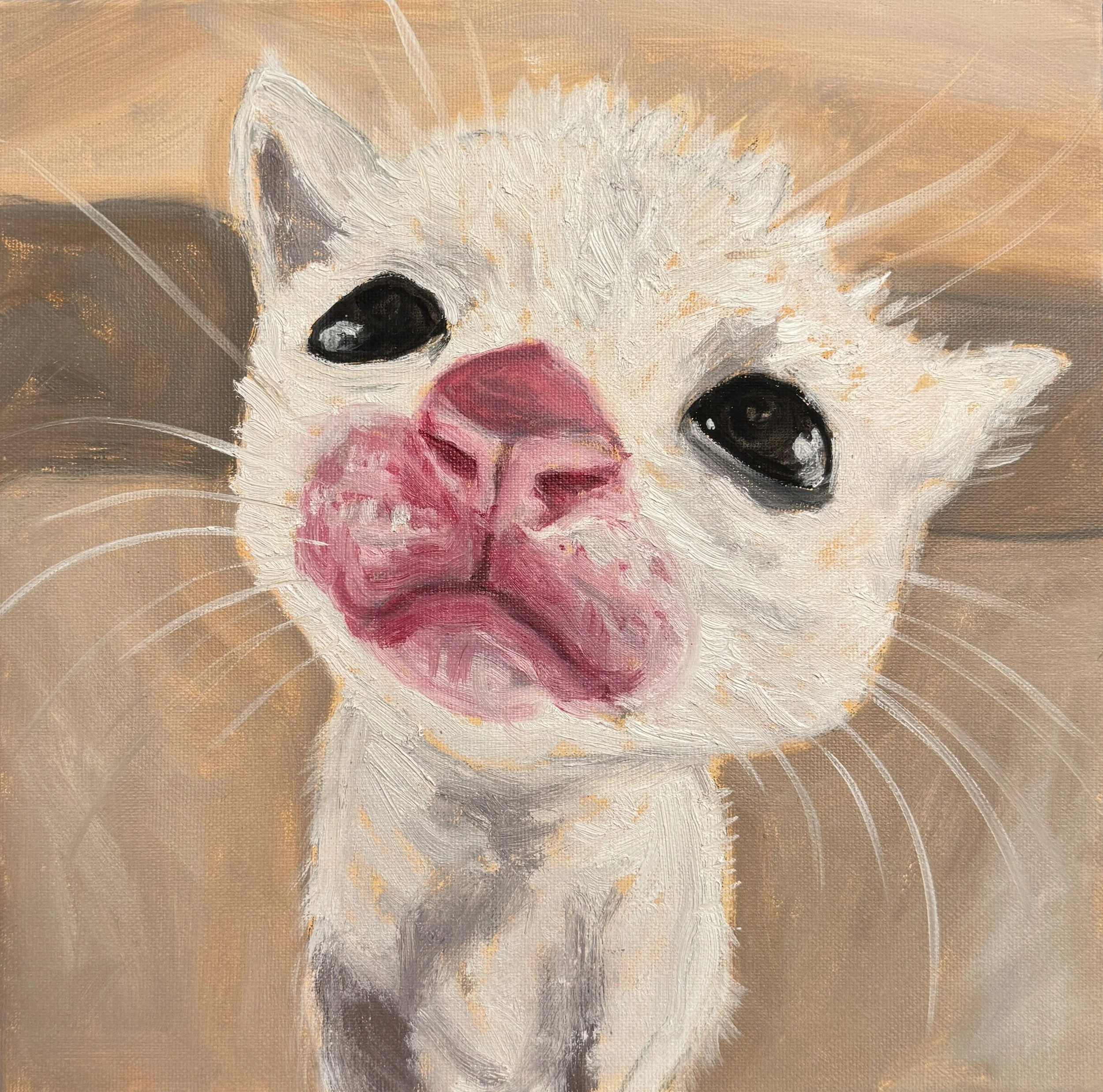 Webcam Kitty, Oil paint on canvas, 12"X12" 2025. Close-up of a painting of a cat looking into a webcam. 