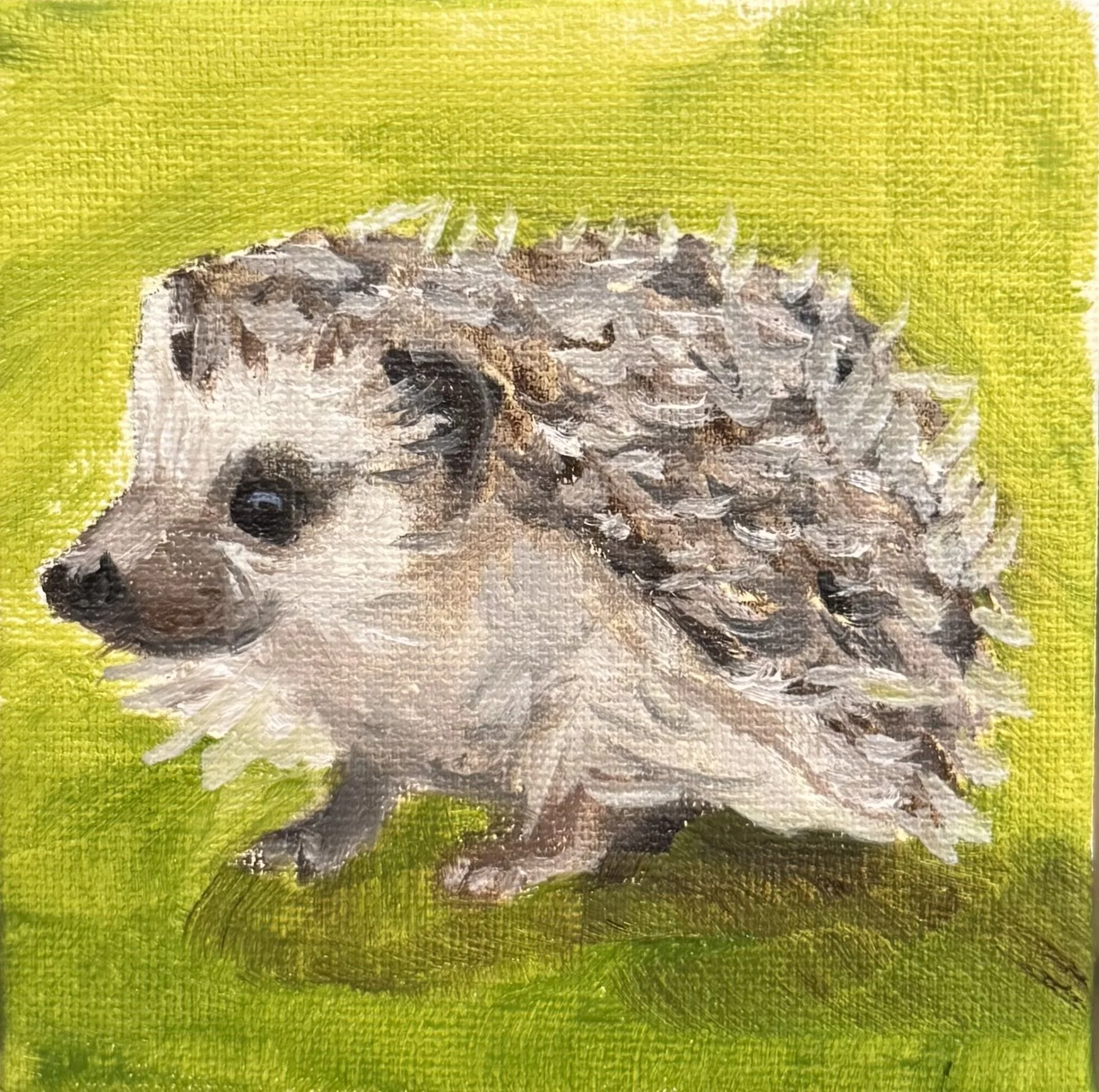 Mini #71