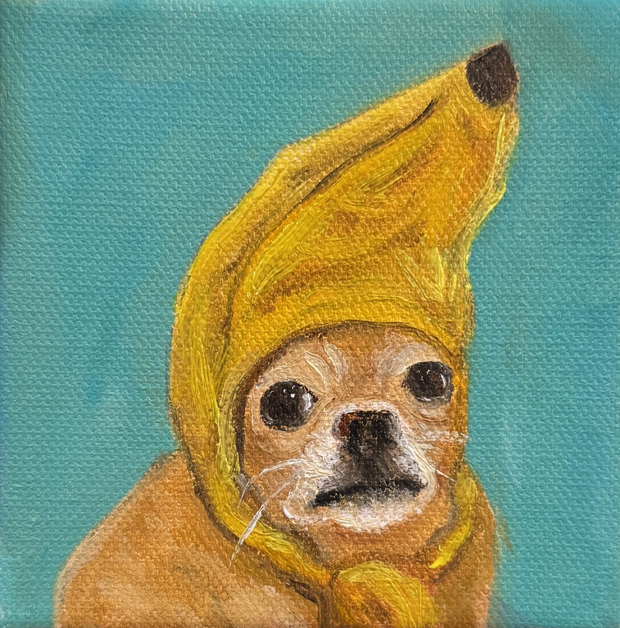 Banana Hat, Oil paint on canvas, 4"x4". A chihuahua with a banana hat on. 