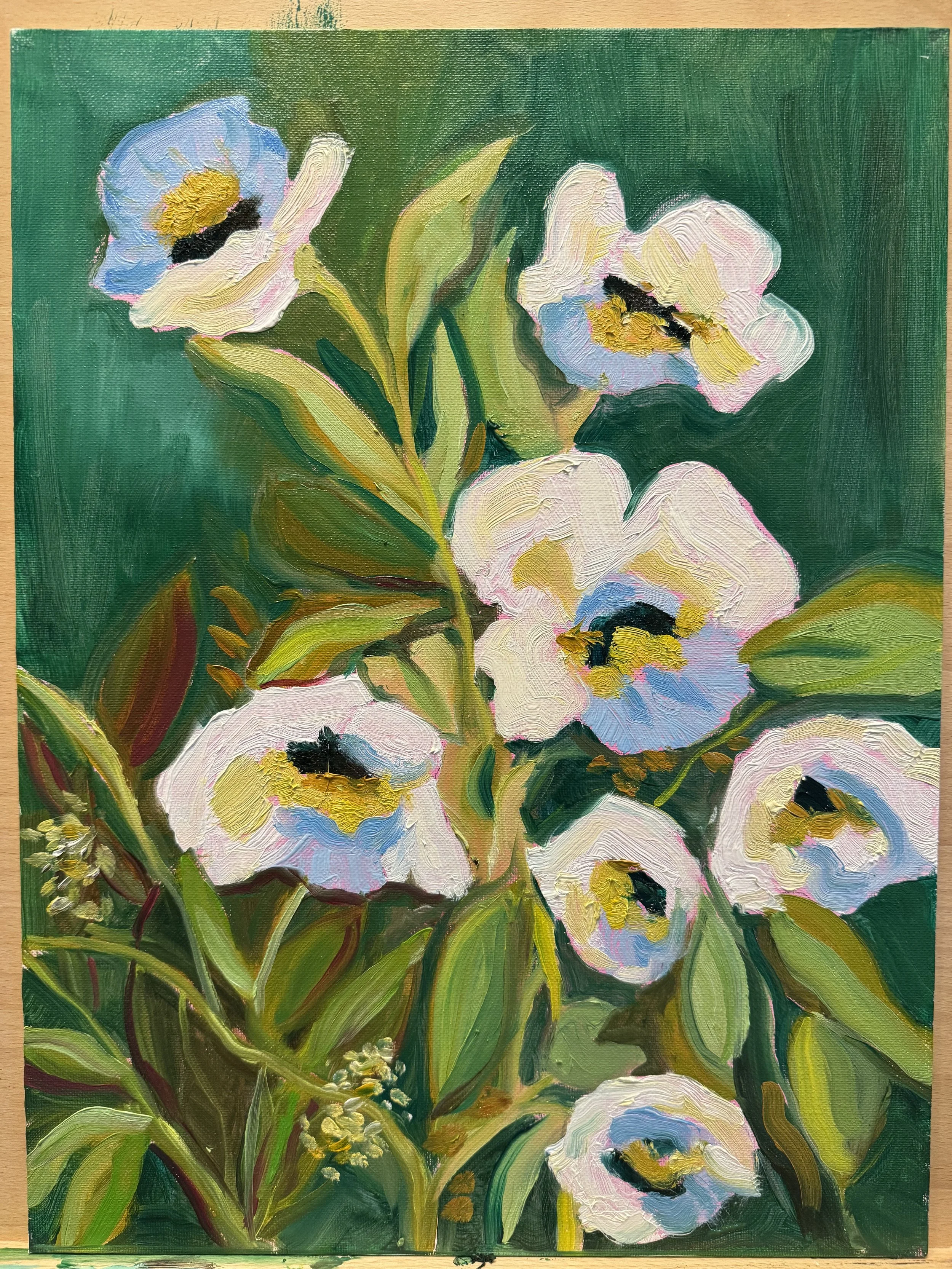 White Florals,
Oil paint on canvas board,
11"x14" - 2026.
A painting of white flowers with yellow and black centers and green leaves against a dark green background.