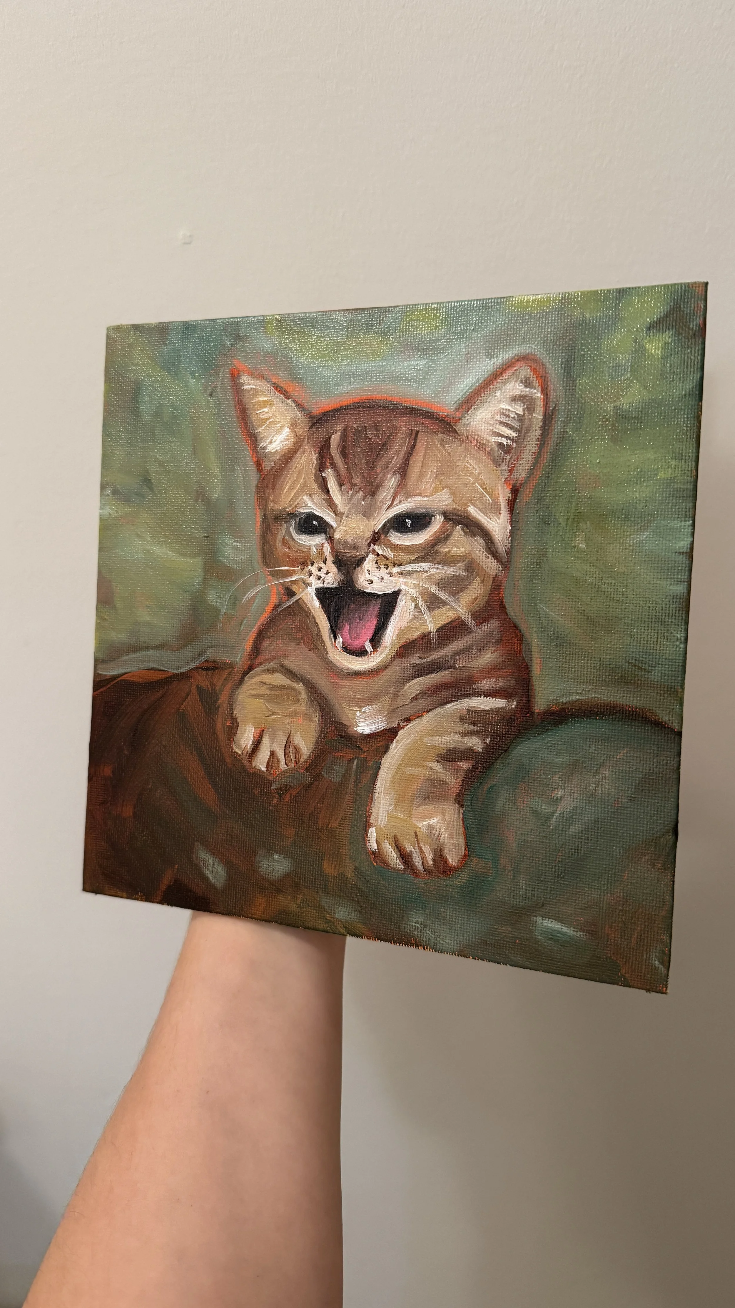 Spicy kitten