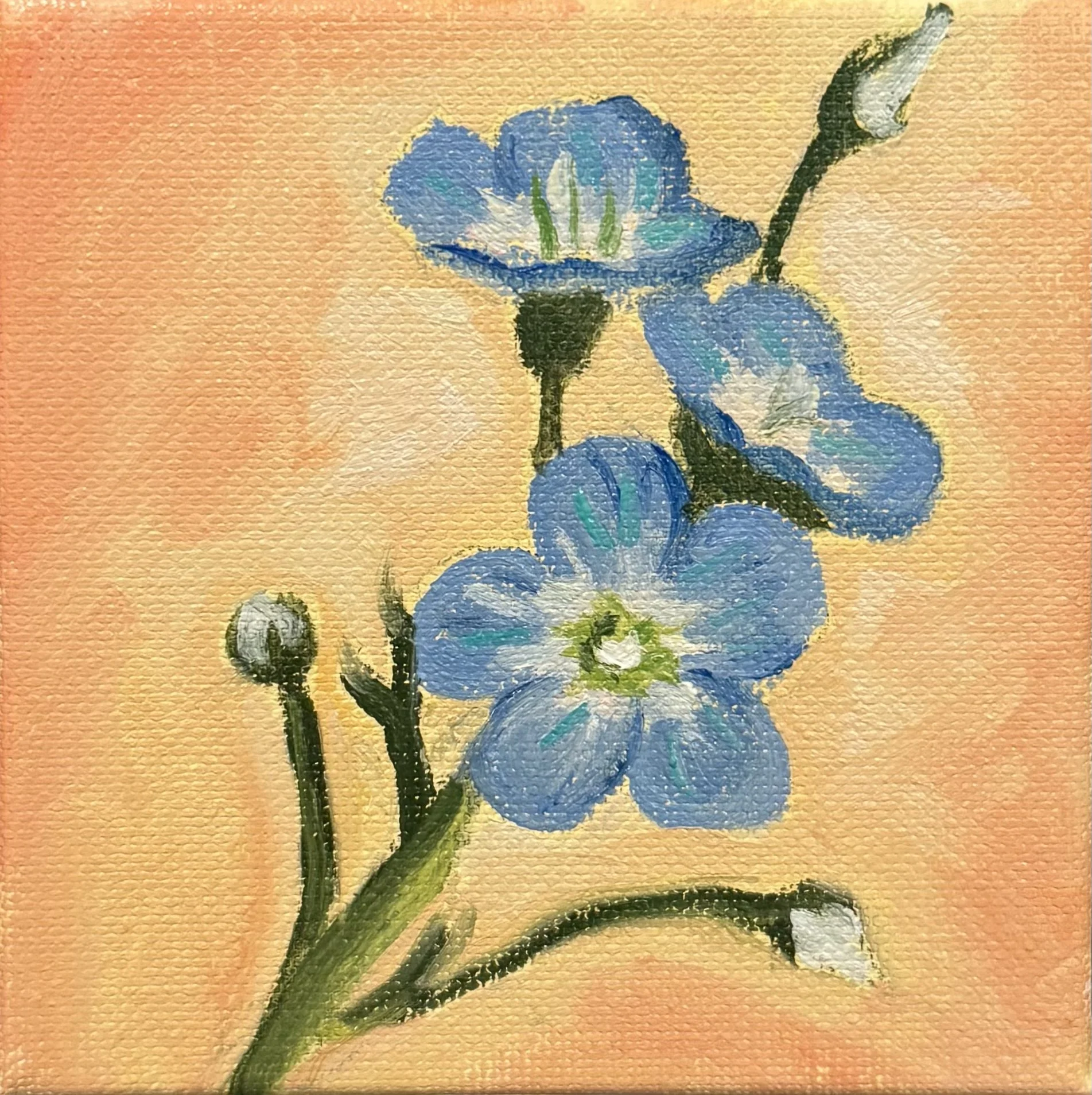 Mini #51