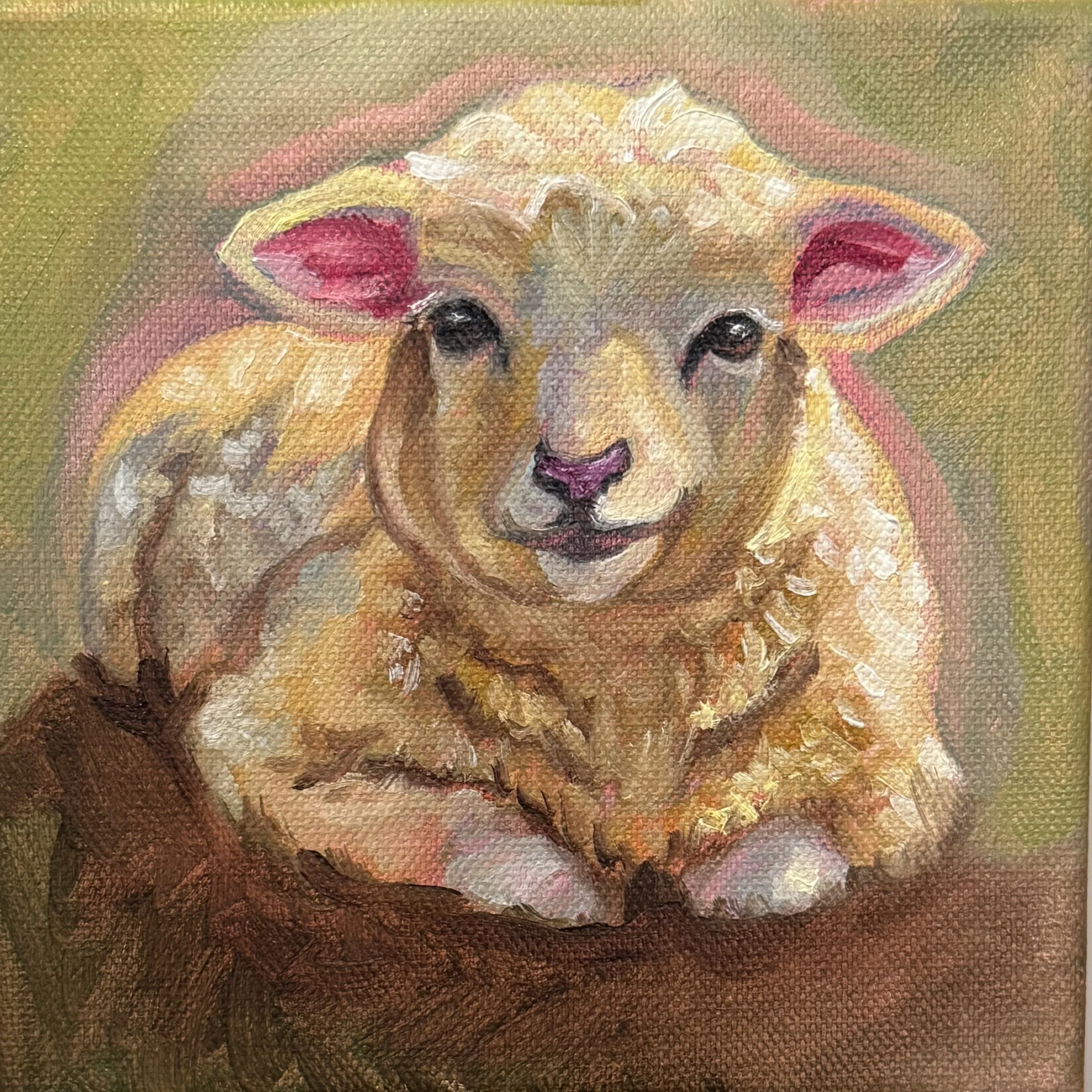 Sheep in the sun,
Oil paint on canvas,
6"x6" - 2025.
A painted portrait of a sheep with a tan and white face, black eyes, and a black nose, pink ear visible, painted on a textured canvas background.