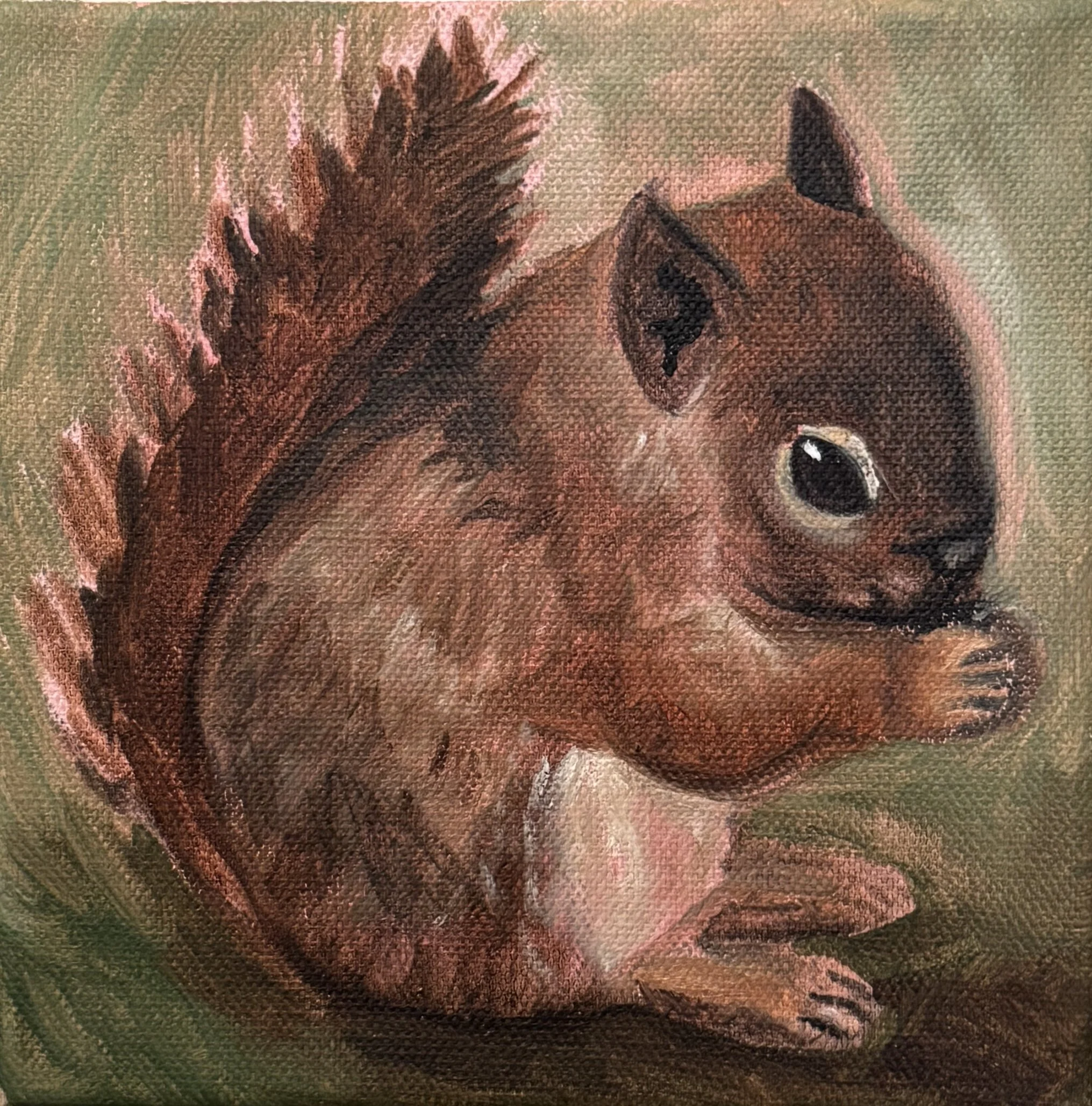 Squirrel,
Oil on canvas,
6"x6" - 2025.
 Close-up of a squirrel portrait on canvas,  with large ears and dark eyes.