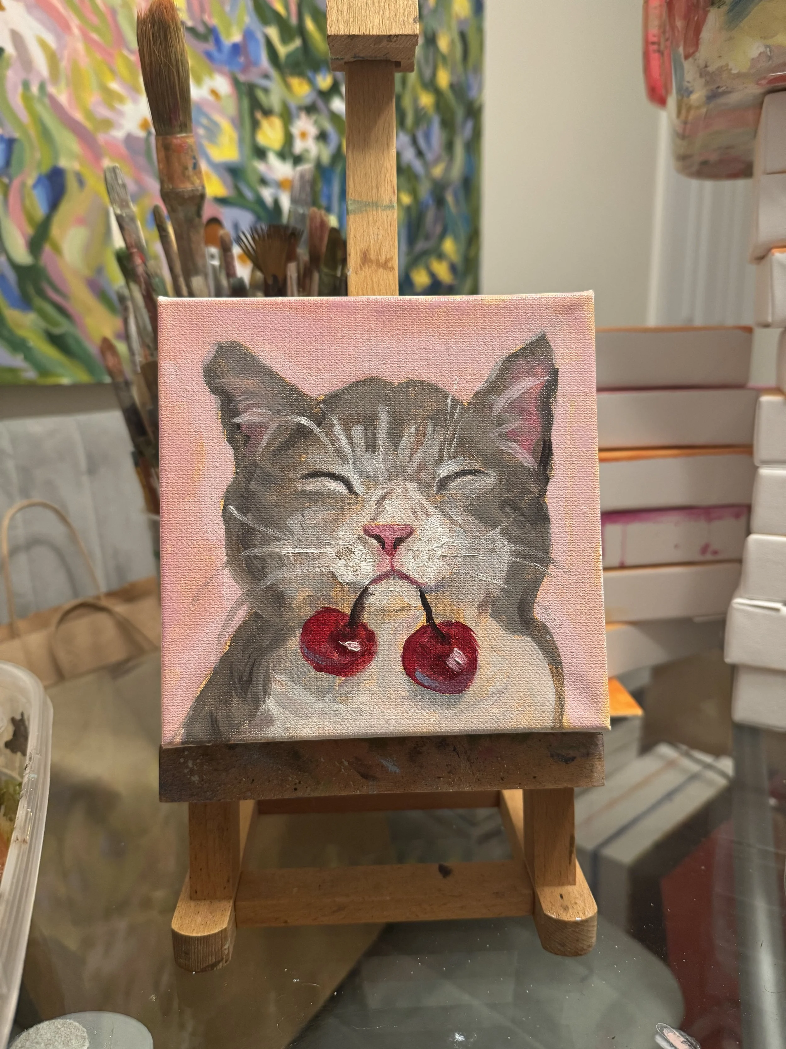 Gray Kitty Cherries