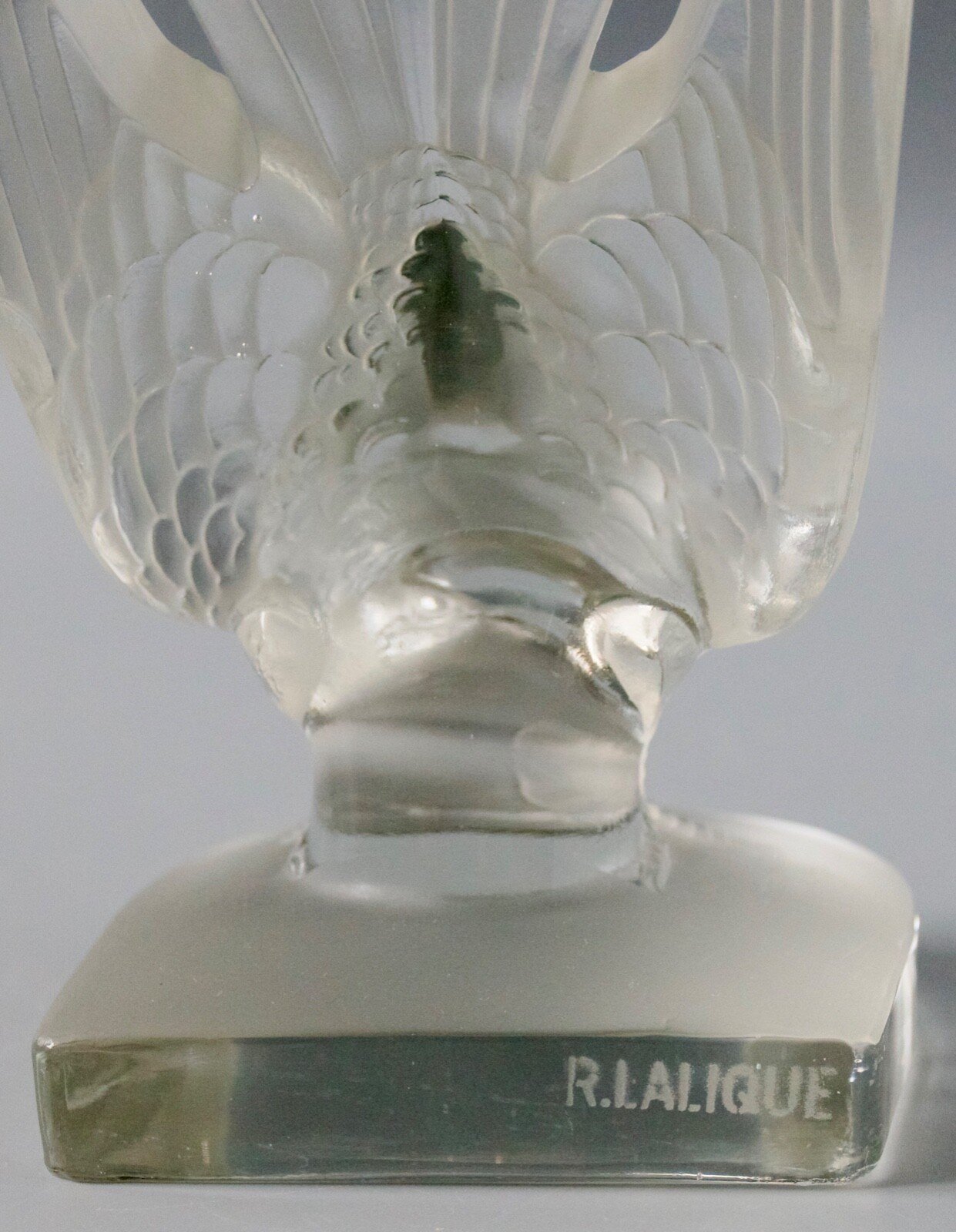 s-l1600.jpg