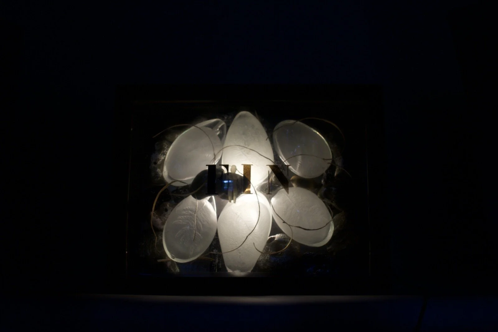 s-l1600.jpg