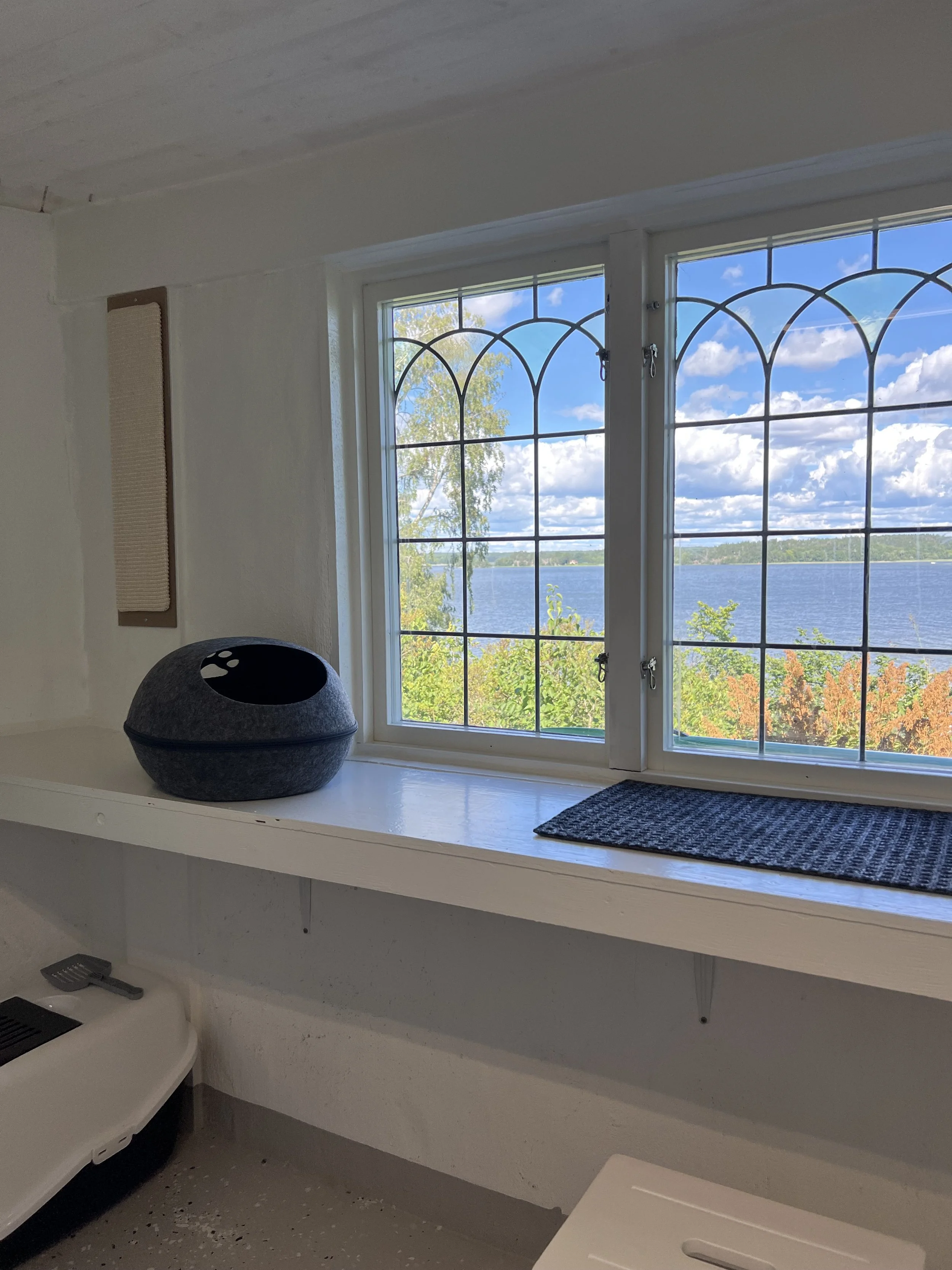 Utsikt från ett fönster med järngrindar som visar en sjö och ett blå himmel med vita moln, omgivande träd med gröna och orange blad.