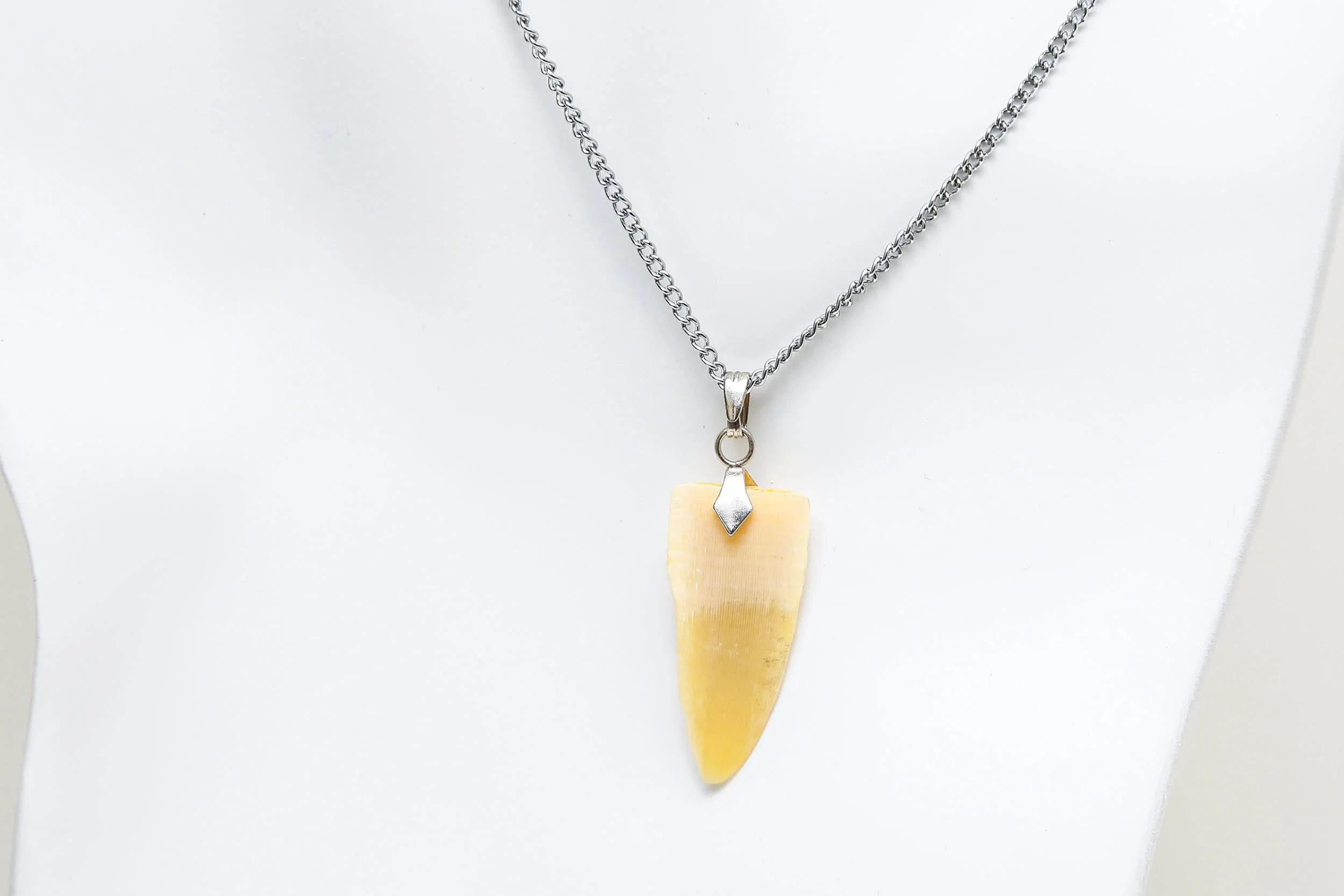 VINTAGE SHARK TOOTH NECKLACE