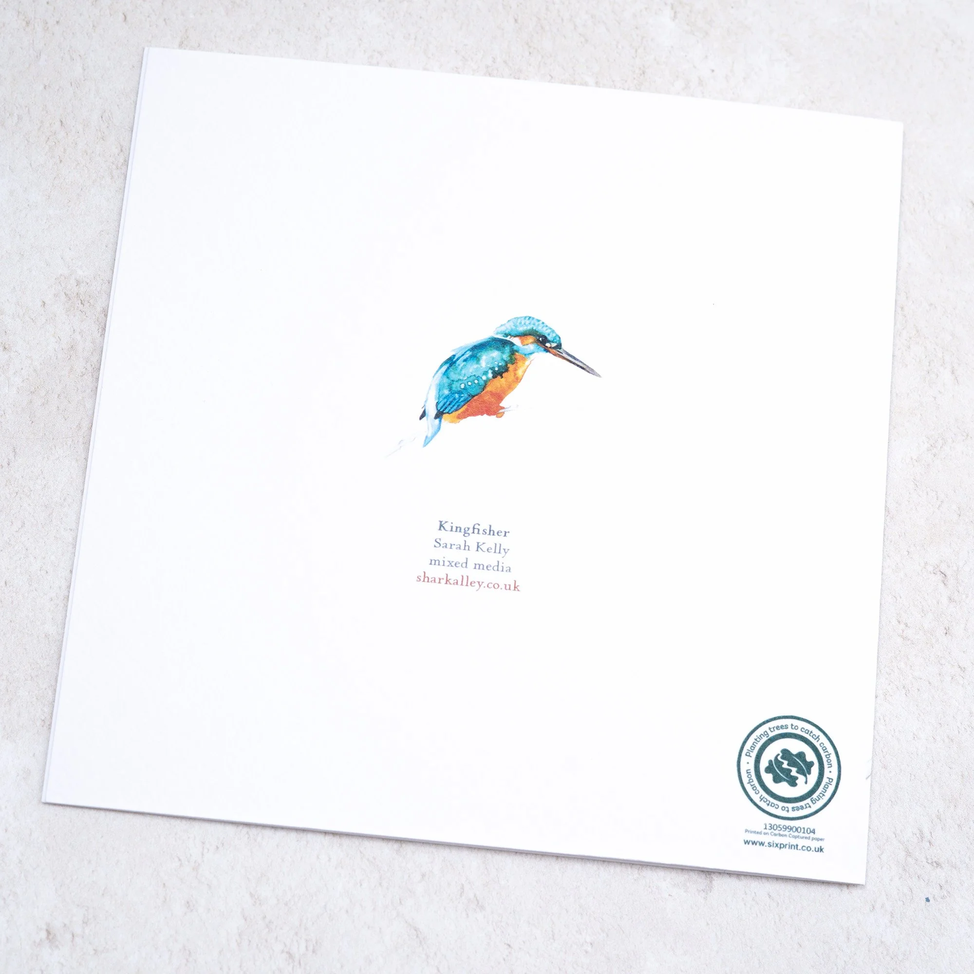Shark Alley Kingfisher 2 Greetings Card 4.jpg