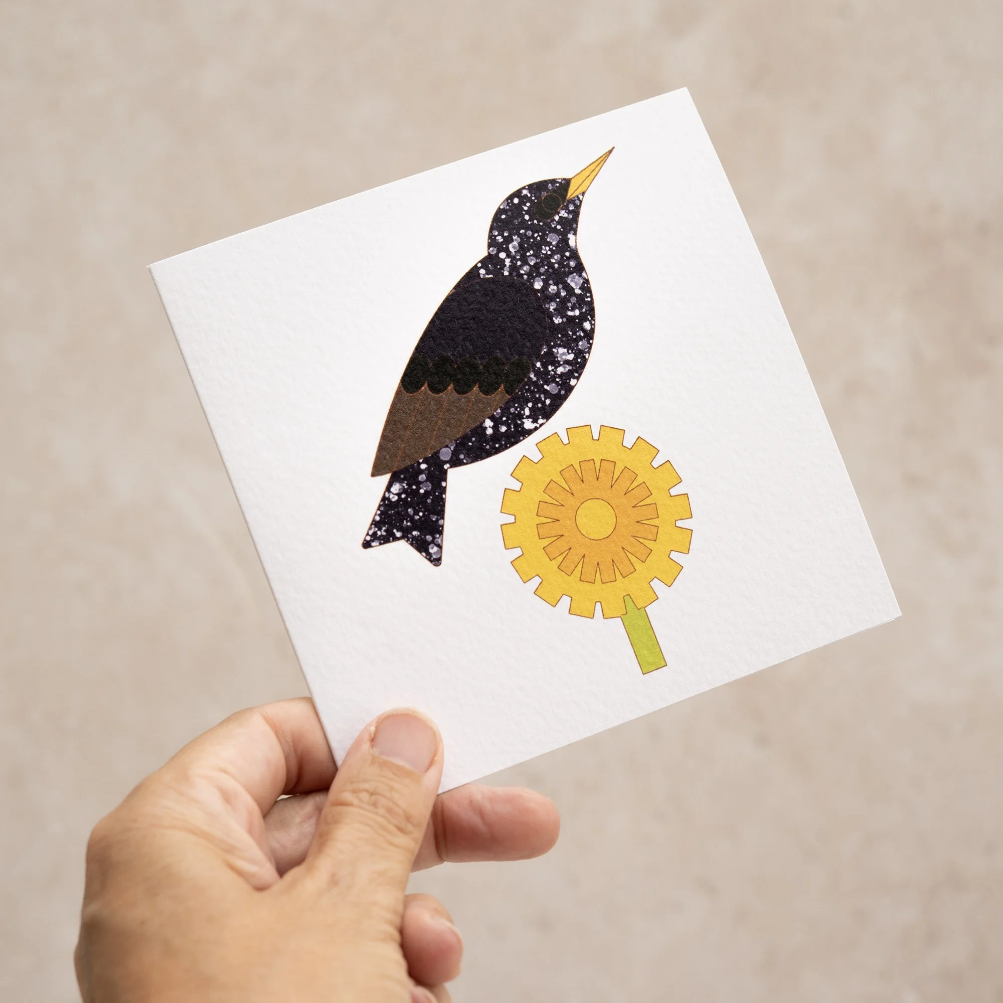 Shark Alley Starling Dandelion Greetings Card 2.jpg