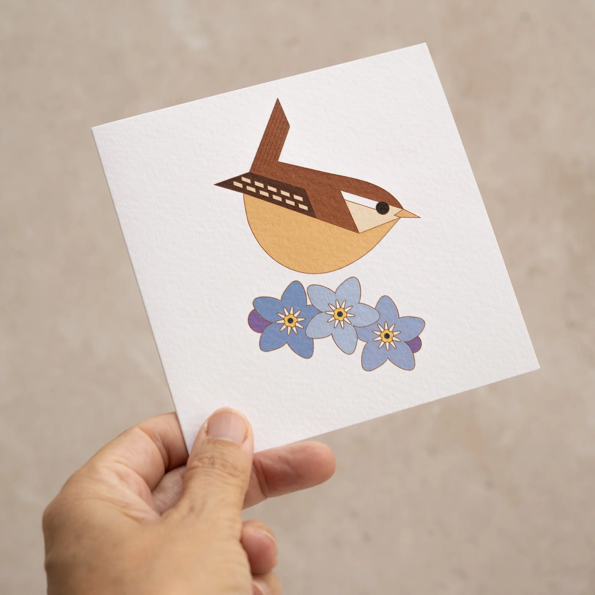 Shark Alley Wren Forget Me Not Greetings Card 2.jpg