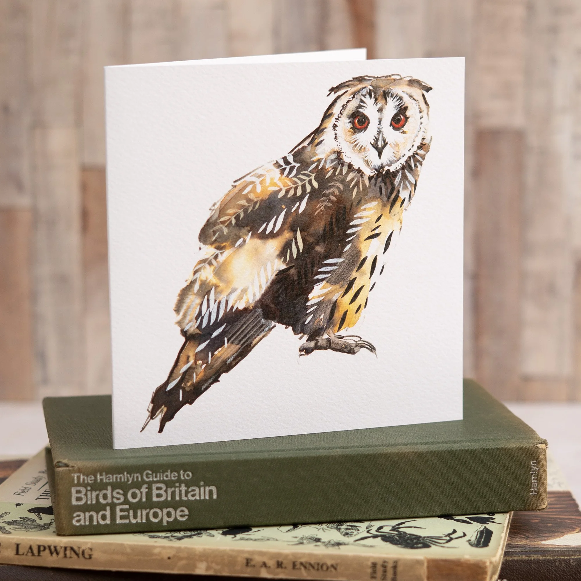 Shark Alley Long Eared Owl 2 Greetings Card 2.jpg