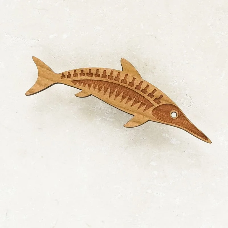 Shark_Alley_Ichthyosaur_Dinosaur_Brooch_grande.jpg