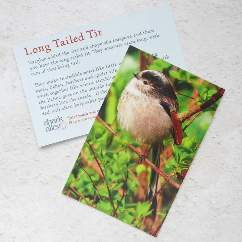 Shark_Alley_Long_Tailed_Tit_grande.jpg