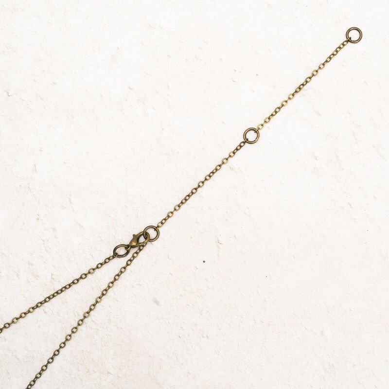 Shark_Alley_Moth_Necklaces_Extender_Chain_grande.jpg