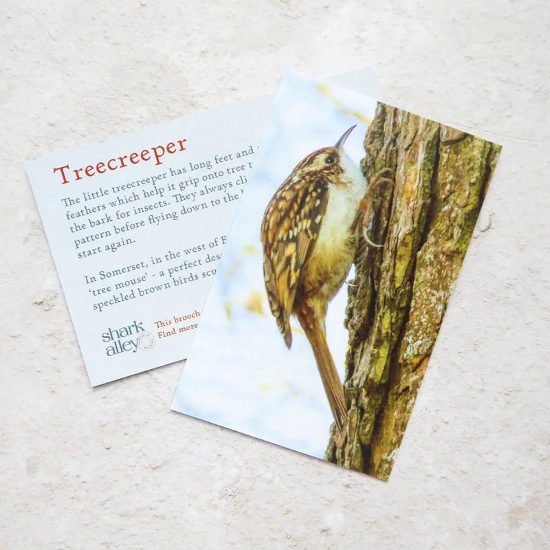 Shark_Alley_Treecreeper_grande.jpg