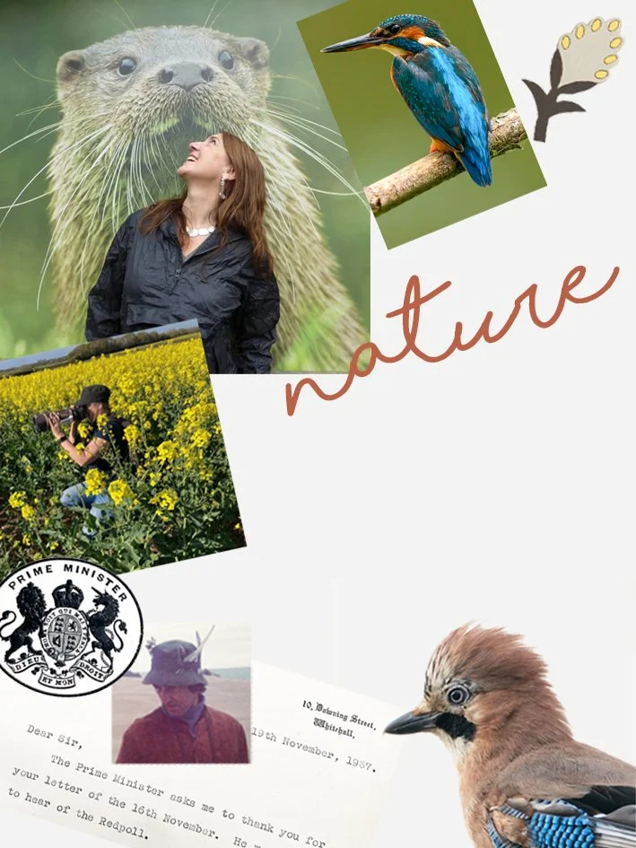 Collage of nature and wildlife images, including a woman looking up, a kingfisher bird perched on a branch, a photographer in yellow flowers, a bird perched on a branch, and a letter with official seals.
