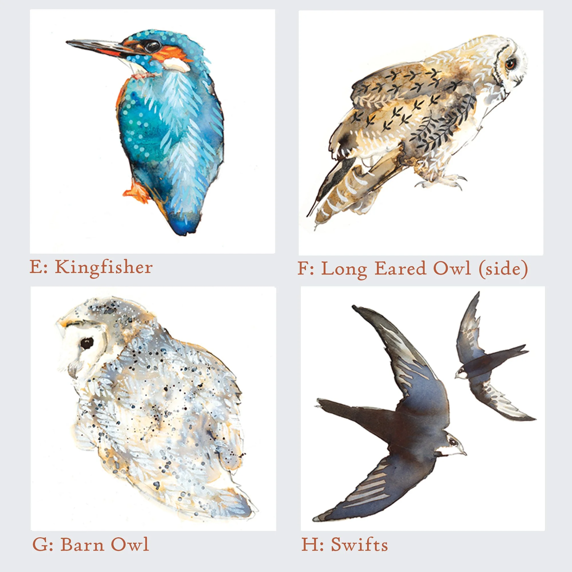 Bespoke Set Of Four Bird Cards set 2.jpg