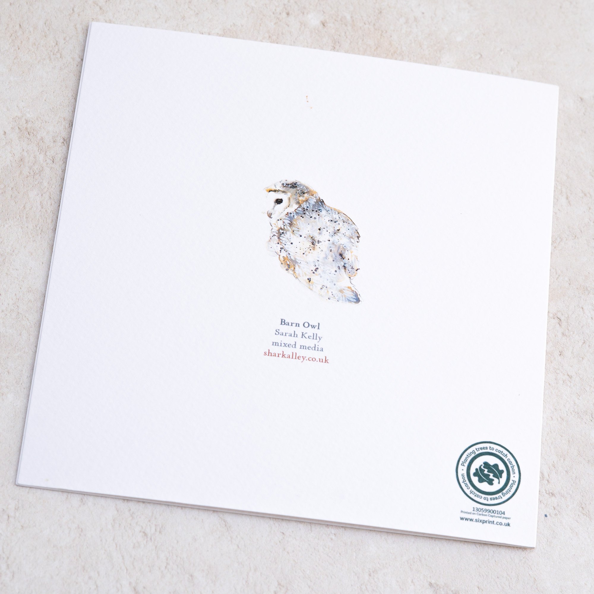 Shark Alley Barn Owl Greetings Card 4.jpg
