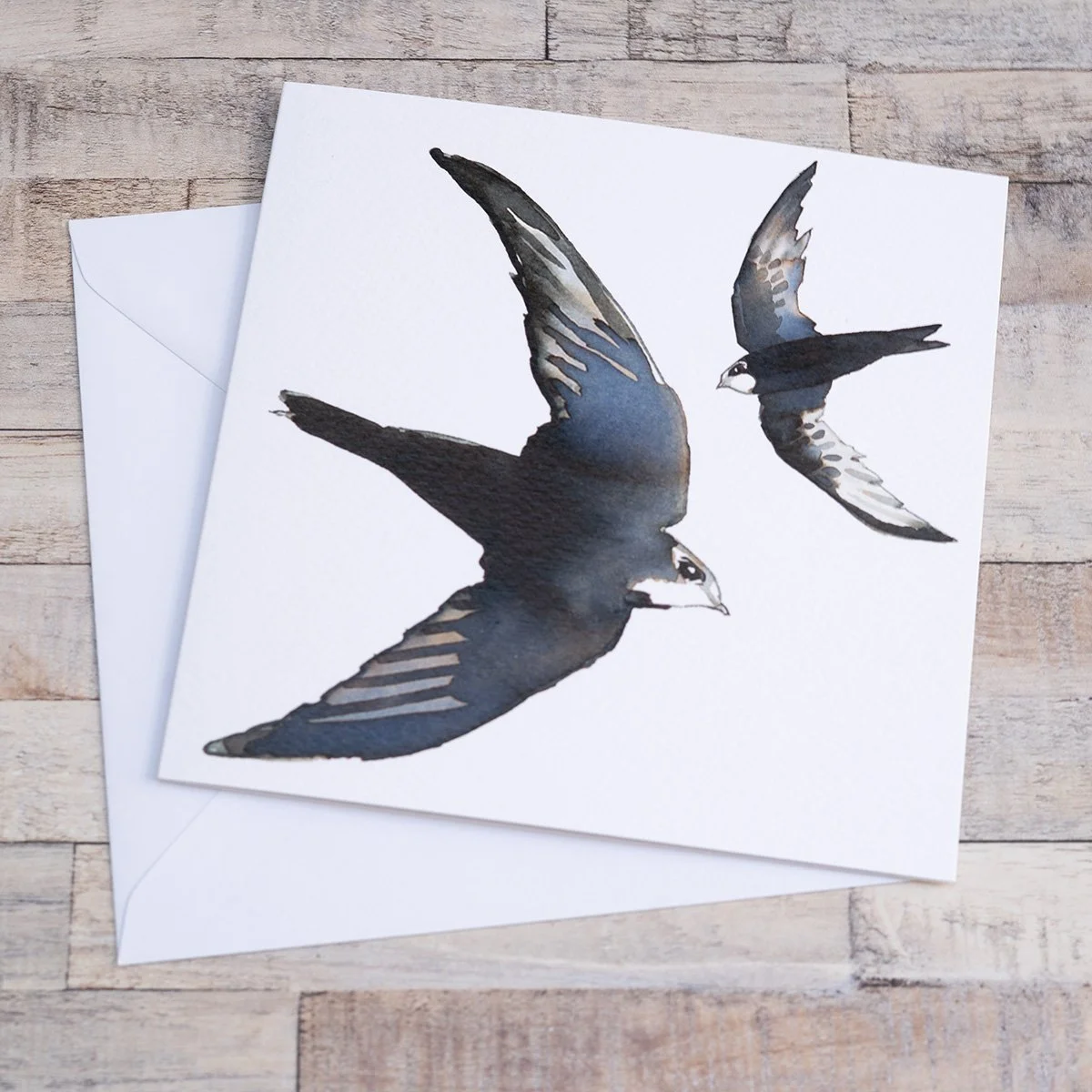 Shark Alley Swifts Greetings Card 1.jpg