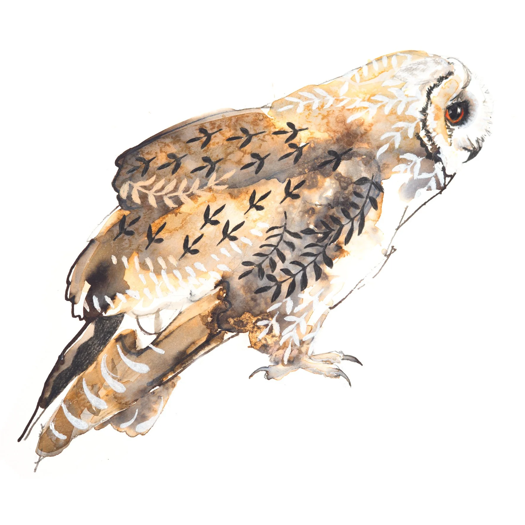 long eared owl greetings card