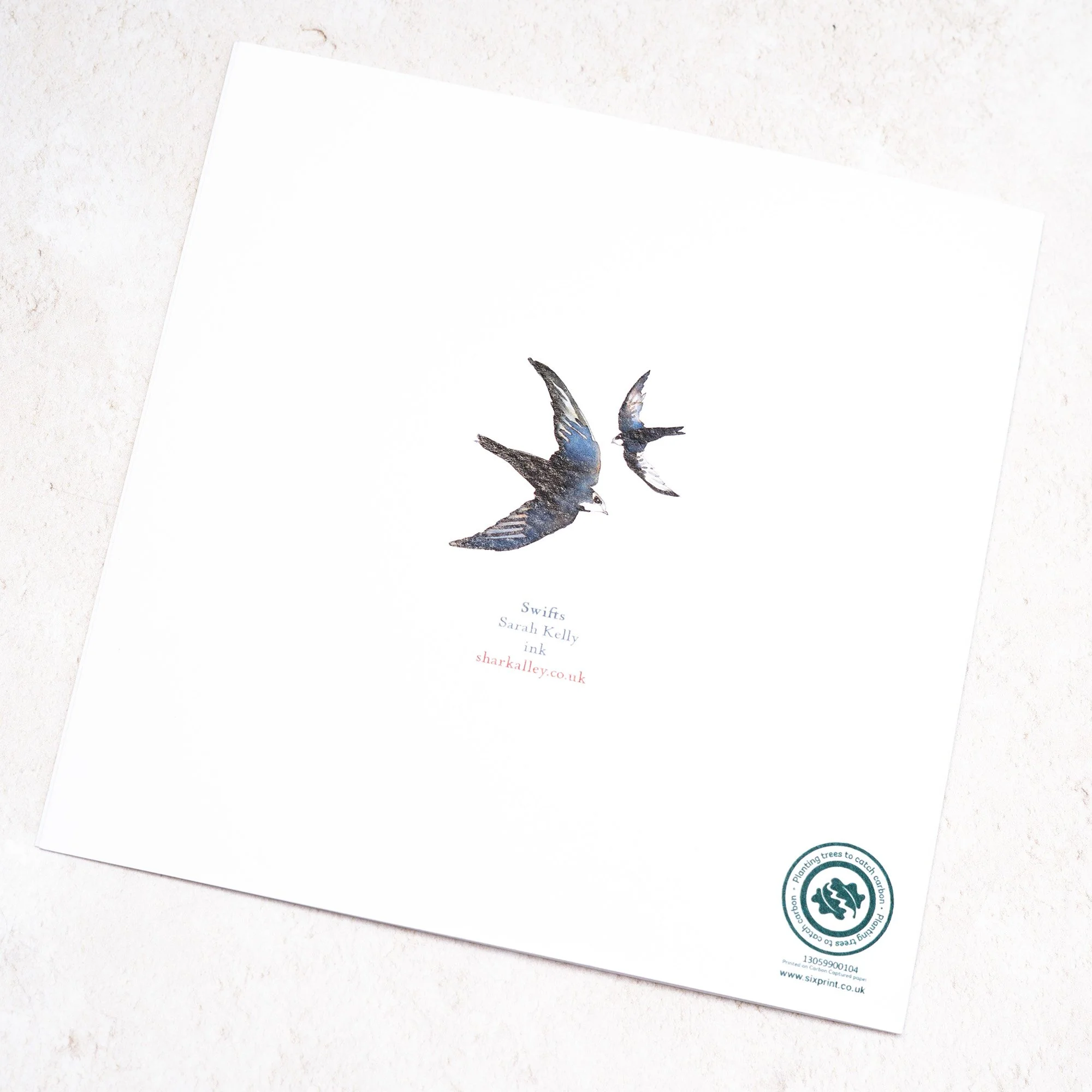 Shark Alley Swifts Greetings Card 4.jpg
