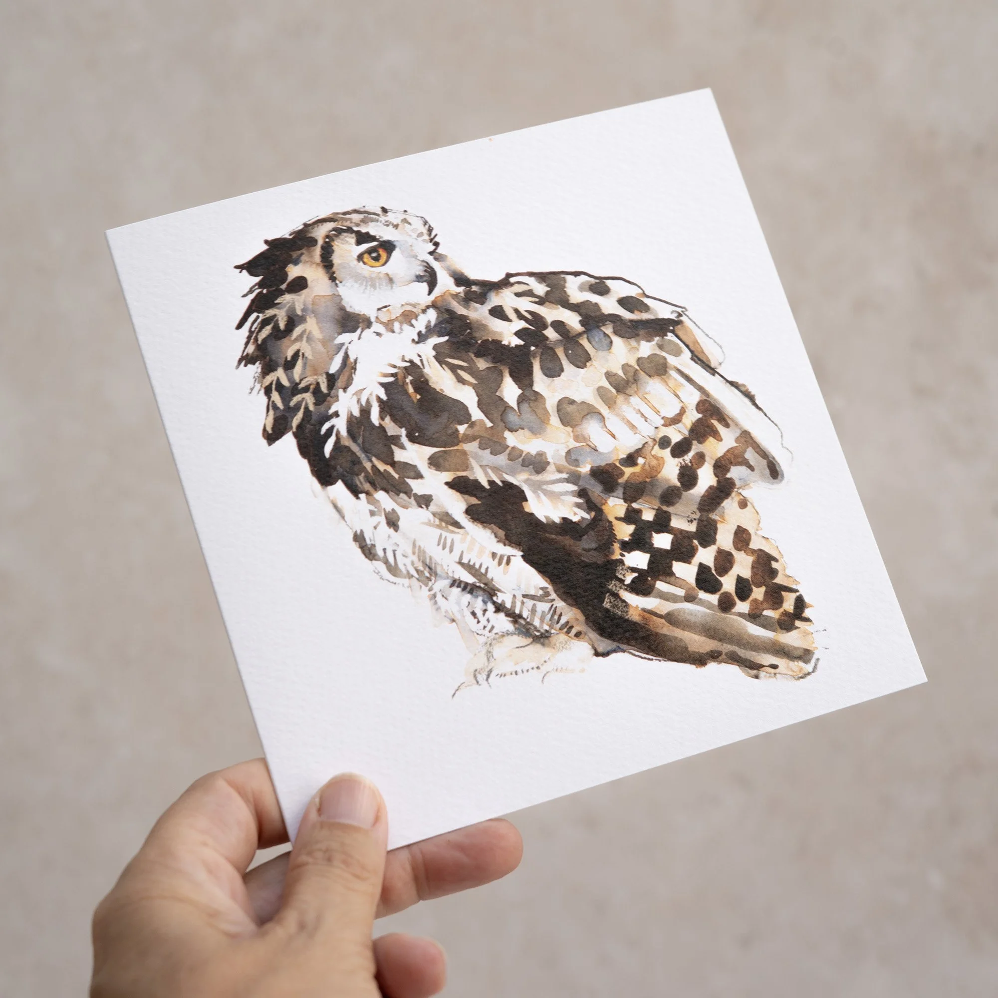 Shark Alley Eagle Owl Greetings Card 3.jpg