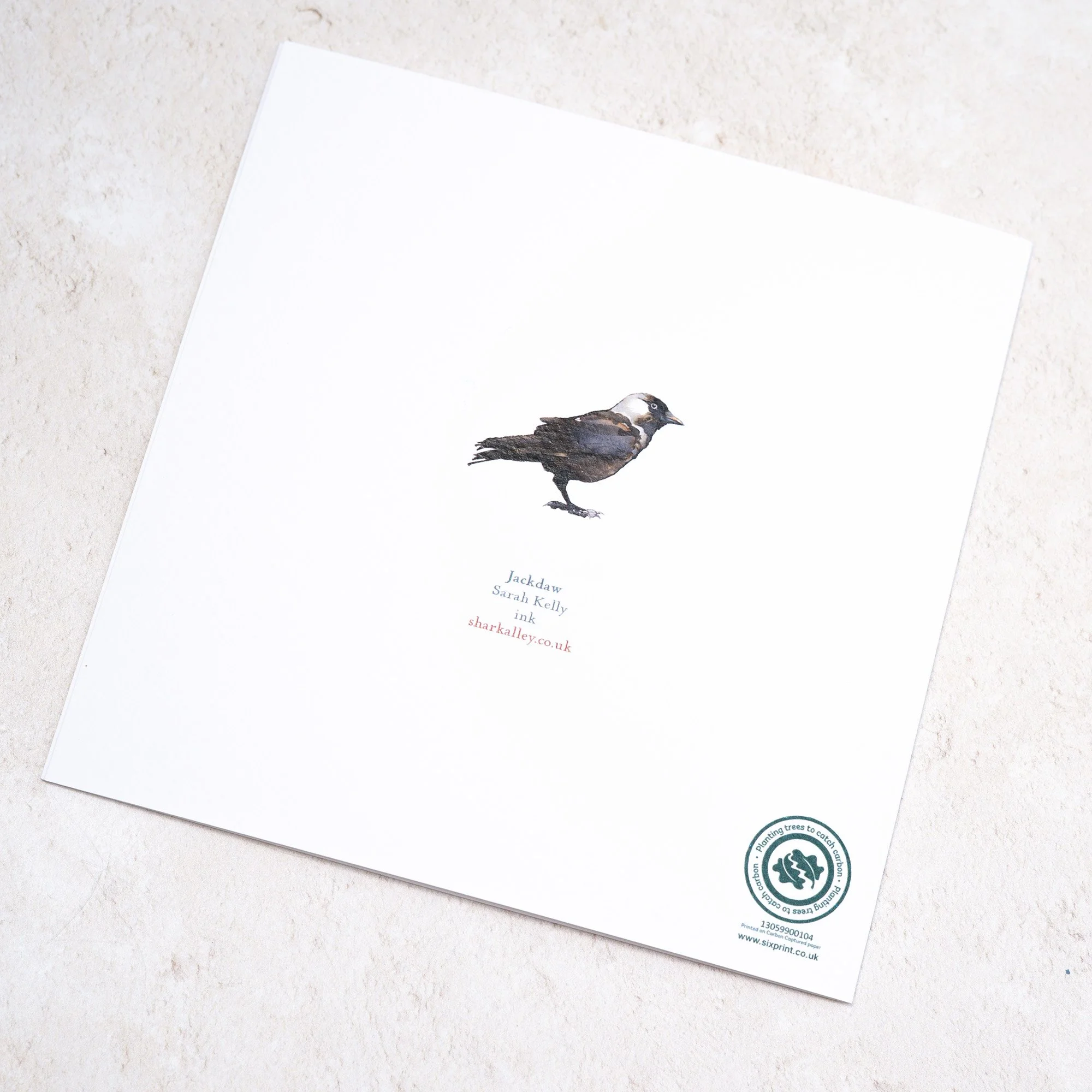 Shark Alley Jackdaw Greetings Card 4.jpg