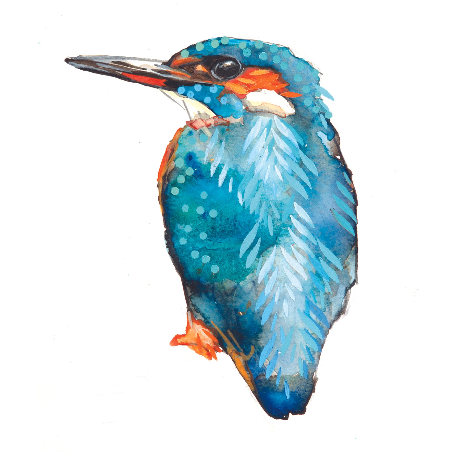 kingfisher greetings card