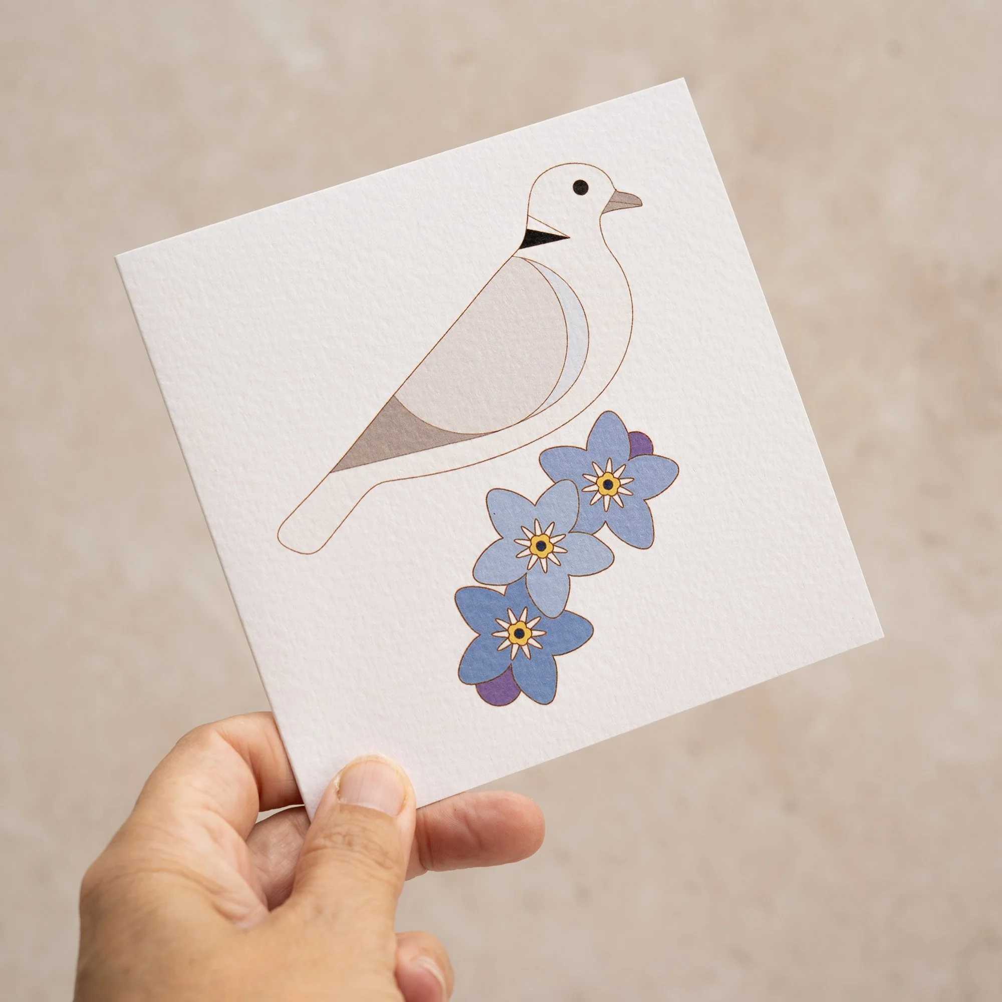 Shark Alley Dove Forget Me Not Greetings Card 2.jpg