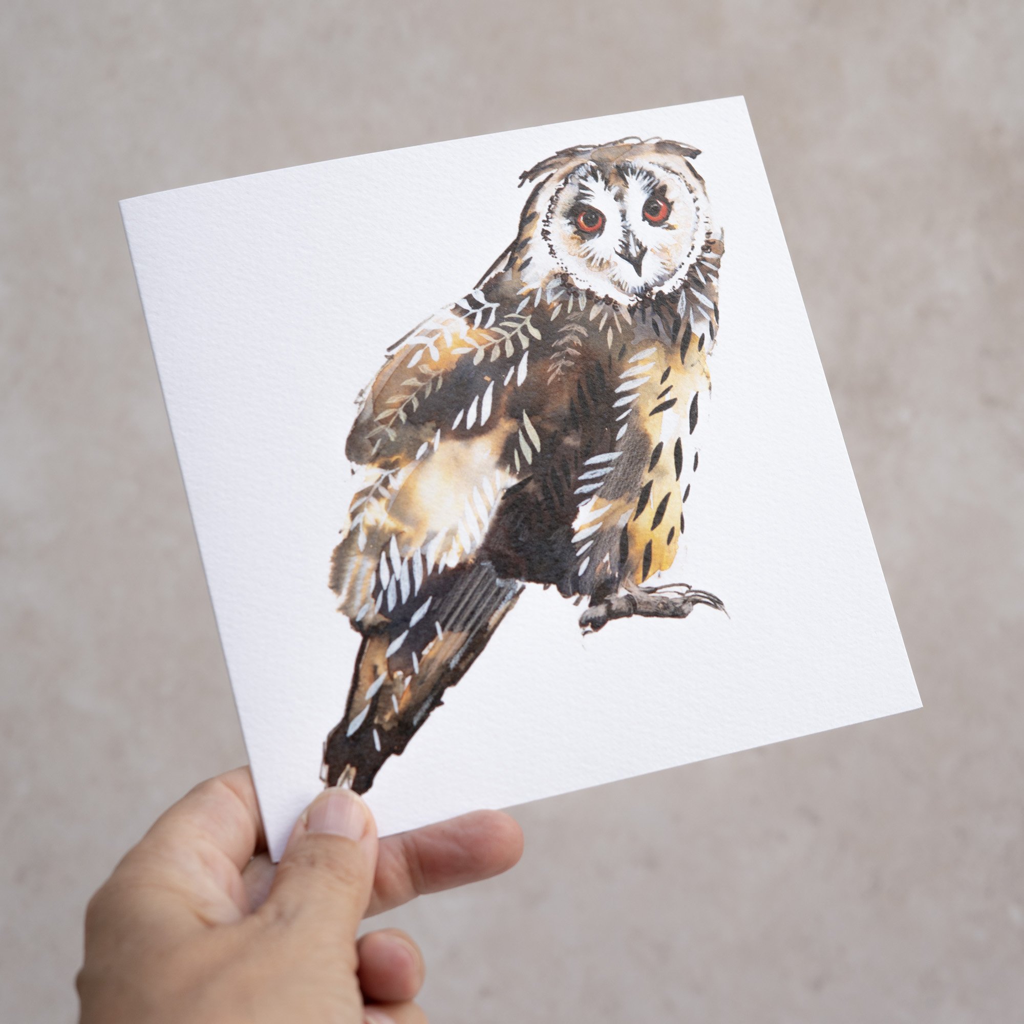 Shark Alley Long Eared Owl 2 Greetings Card 3.jpg