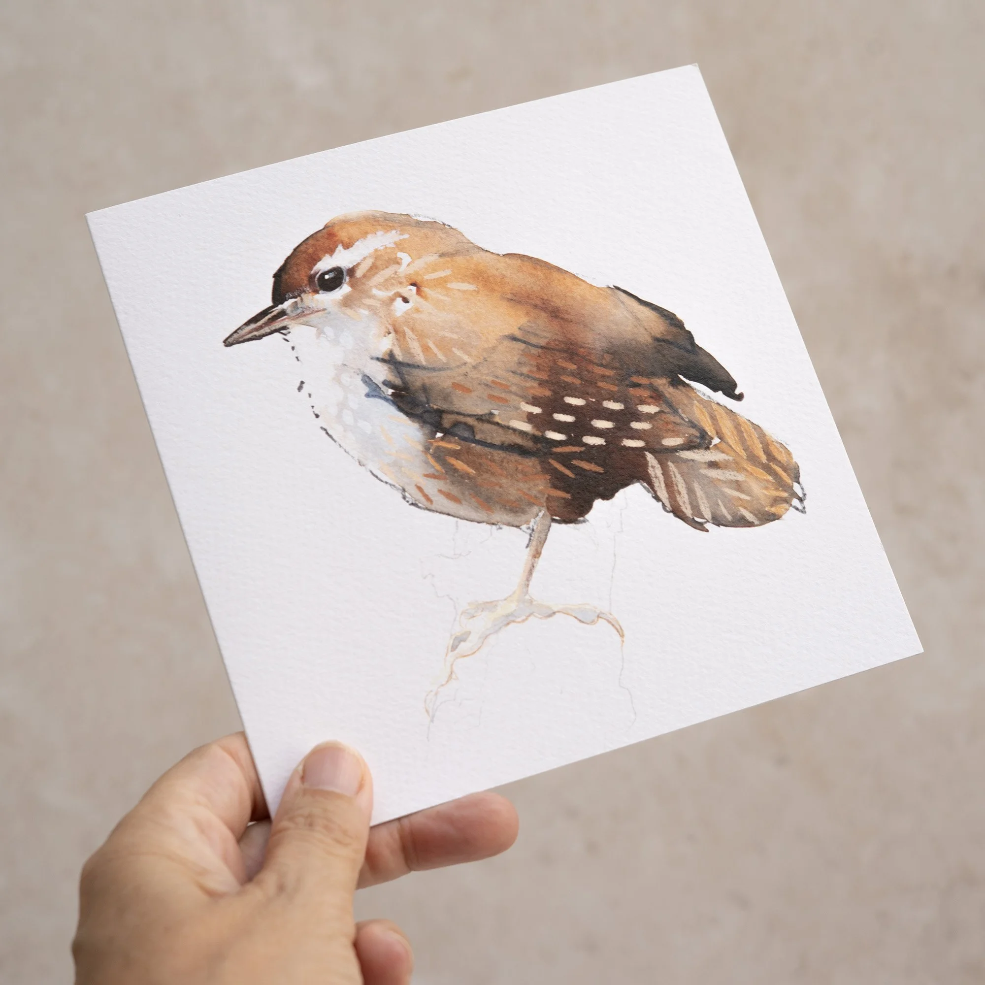 Shark Alley Wren Greetings Card 3.jpg