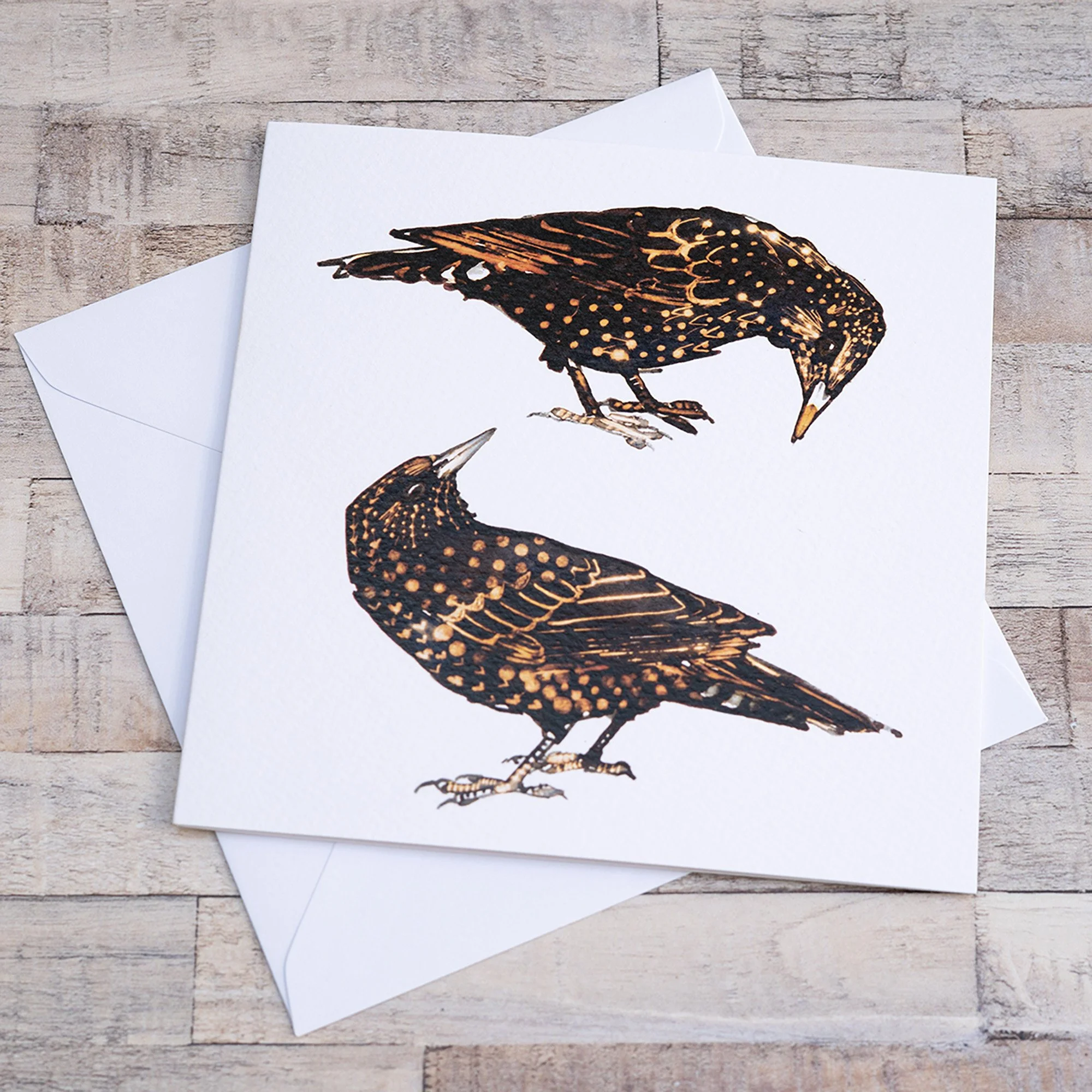 Shark Alley Starlings Greetings Card 1.jpg