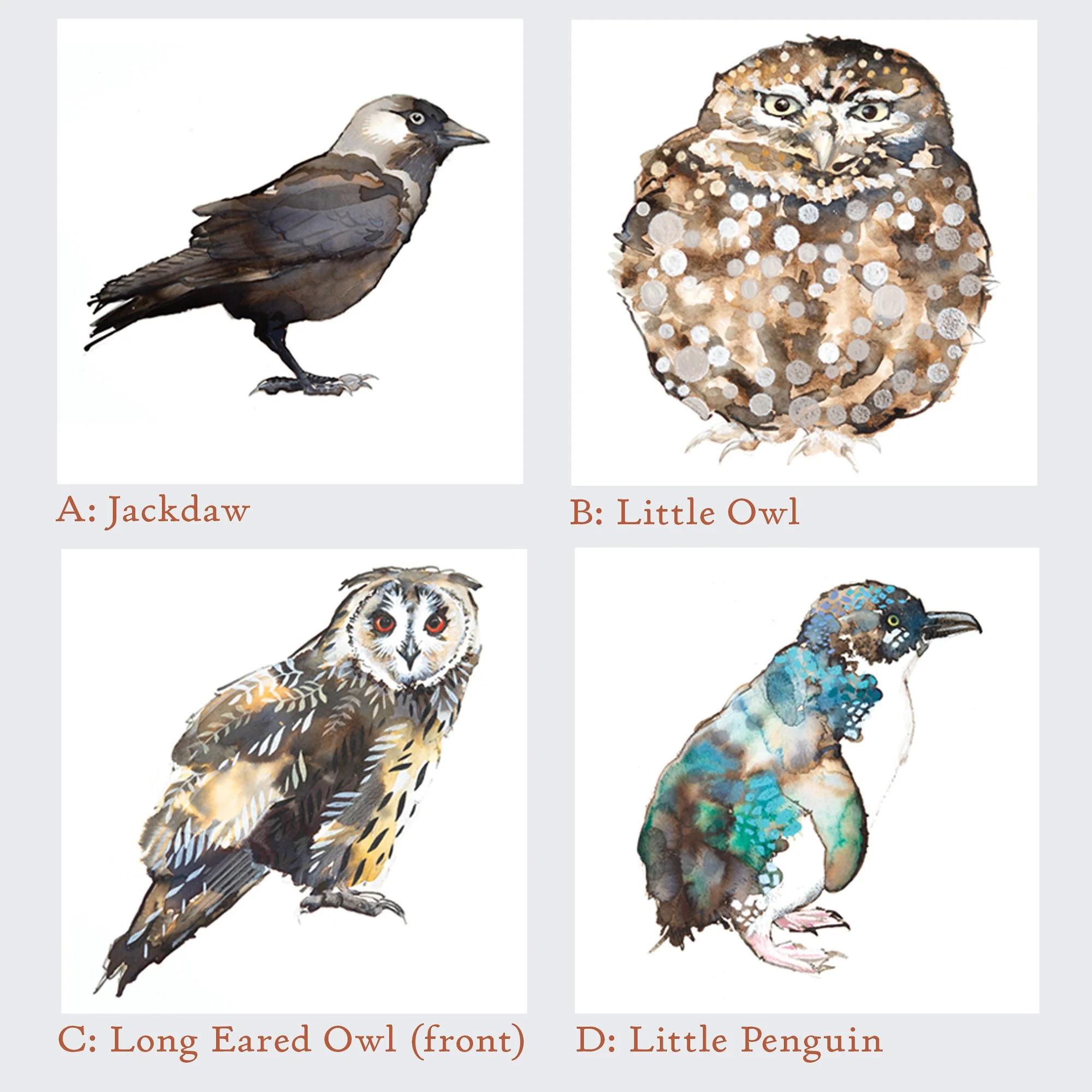 Bespoke Set Of Four Bird Cards set 1.jpg