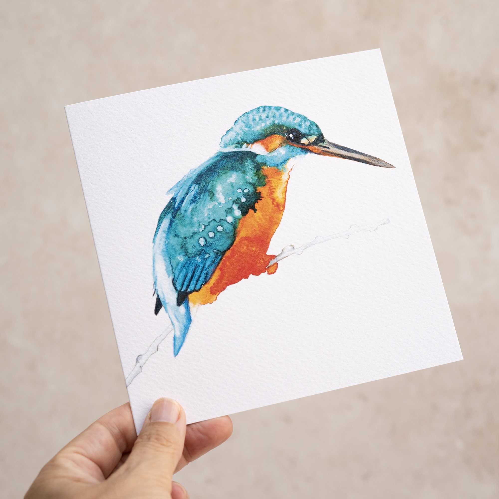 Shark Alley Kingfisher 2 Greetings Card 3.jpg
