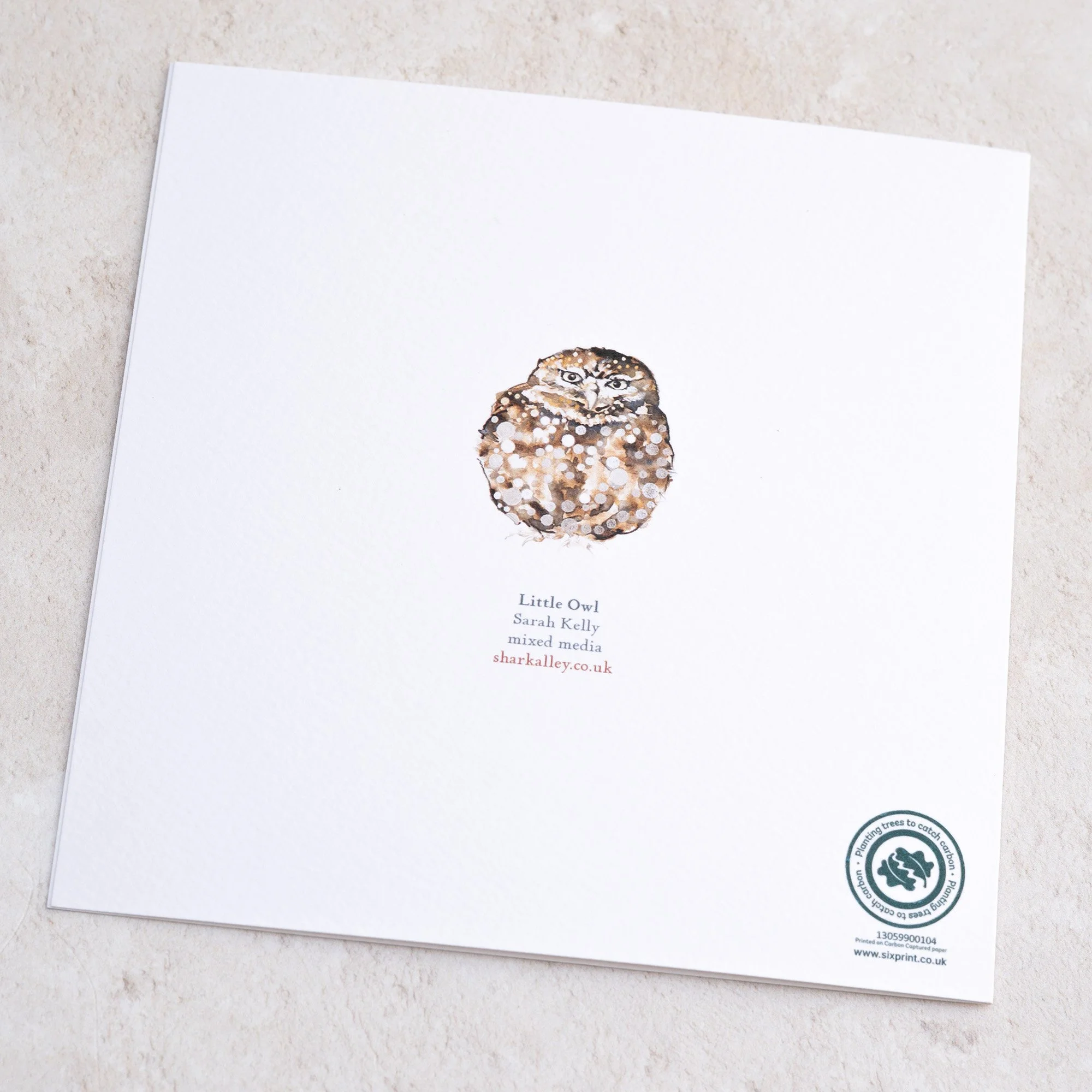 Shark Alley Little Owl Greetings Card 4.jpg