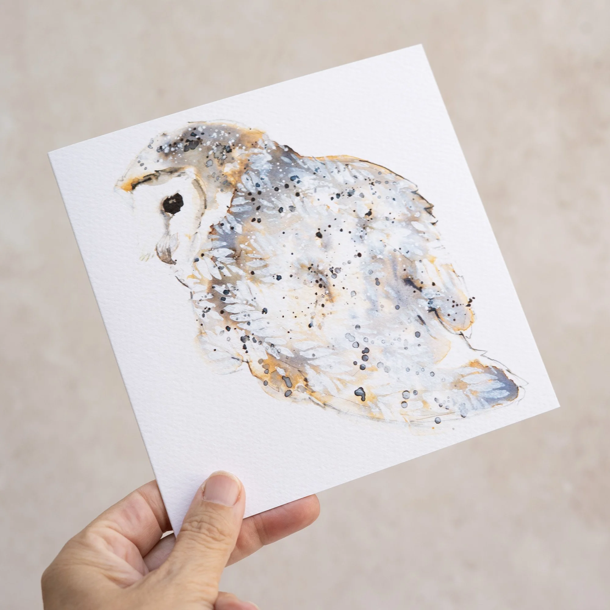 Shark Alley Barn Owl Greetings Card 3.jpg