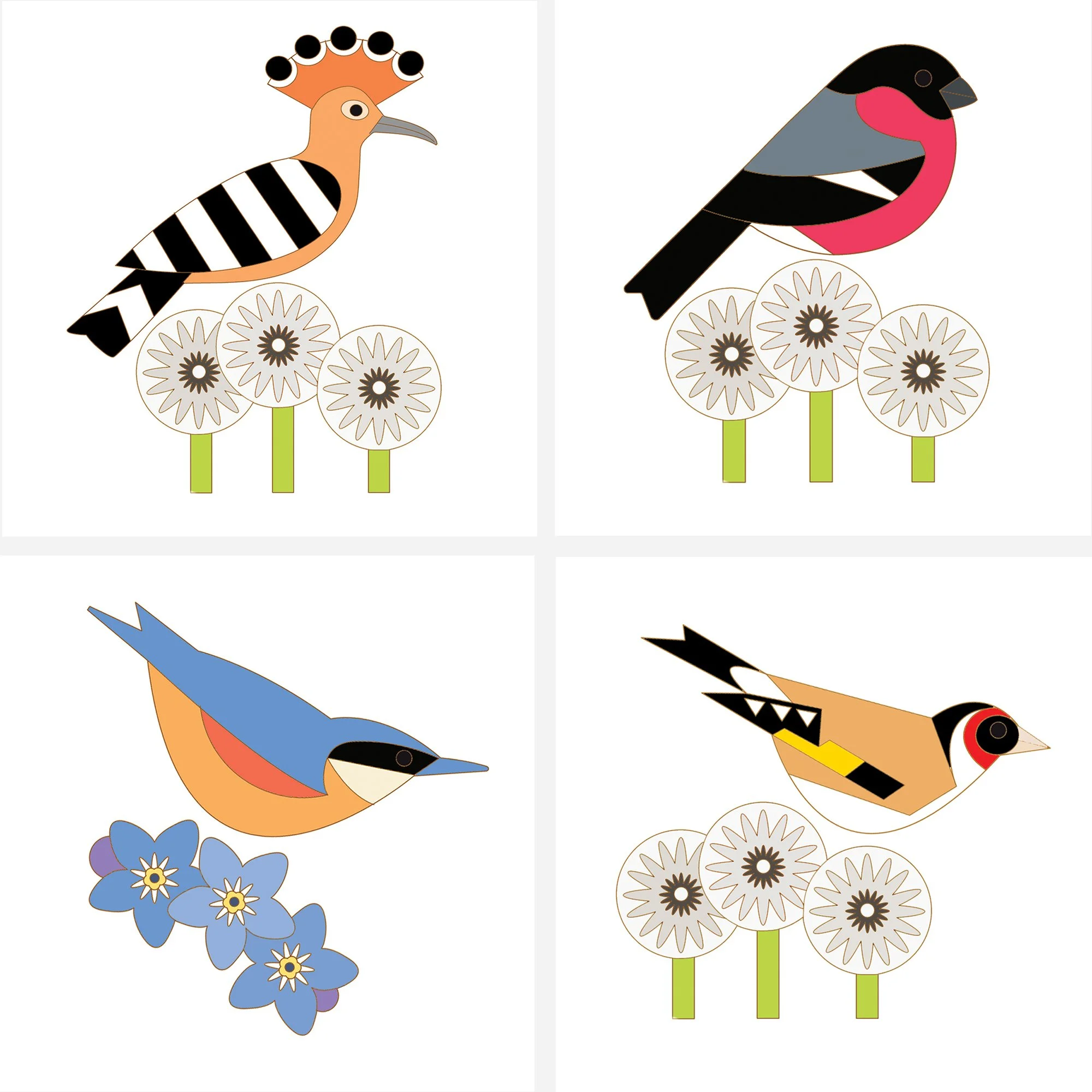 colourful birds collection - set of four cards