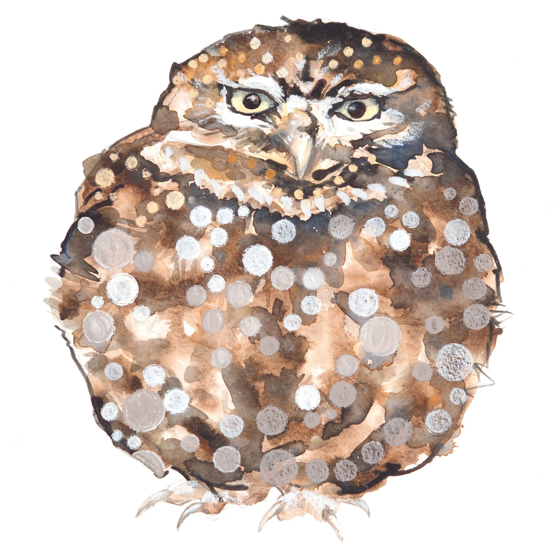 little owl greetings card