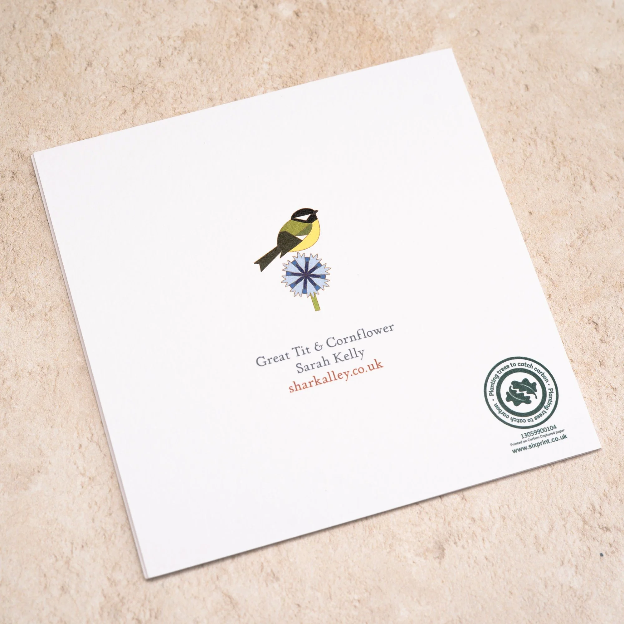 Shark Alley Great Tit Cornflower Greetings Card 4.jpg