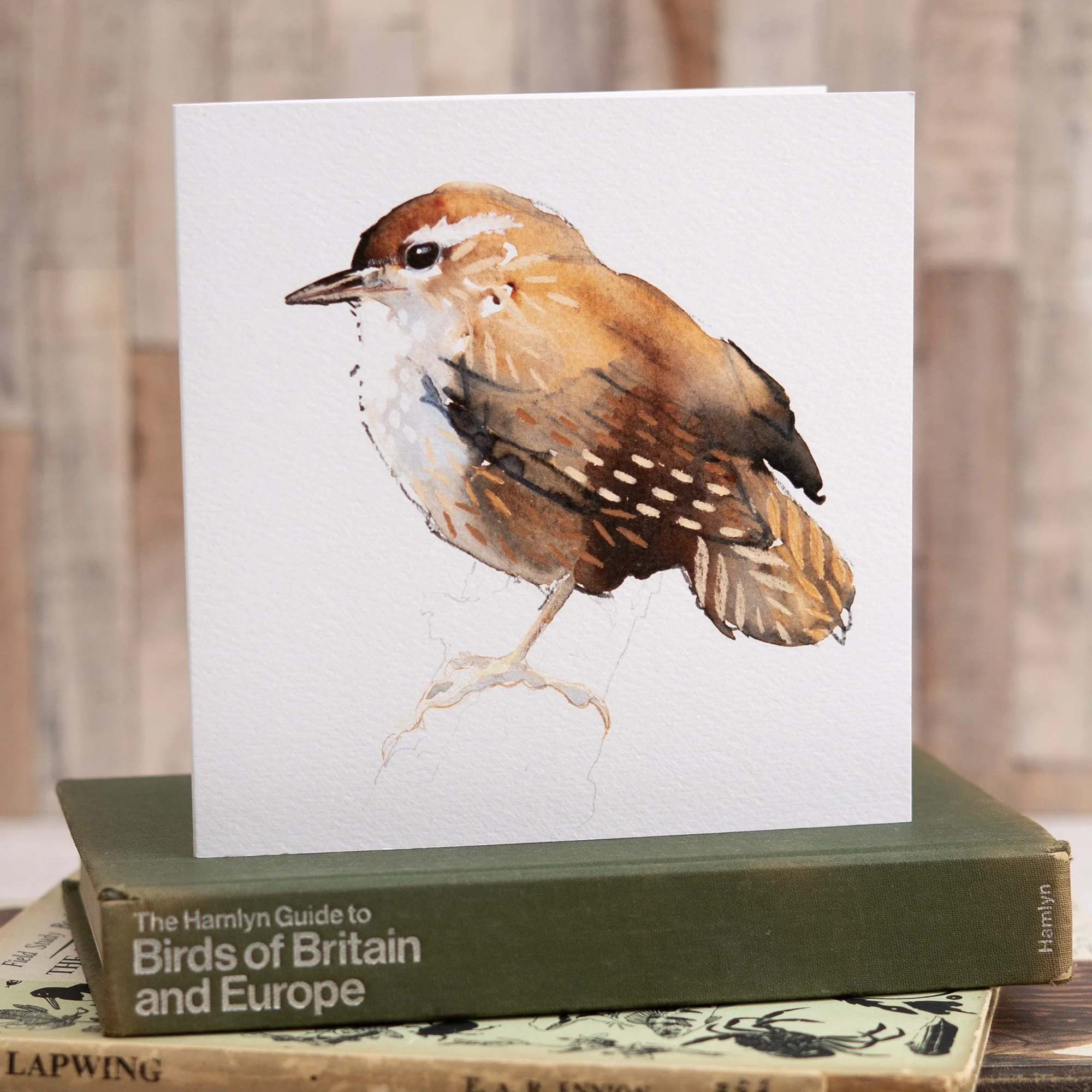 Shark Alley Wren Greetings Card 2a.jpg
