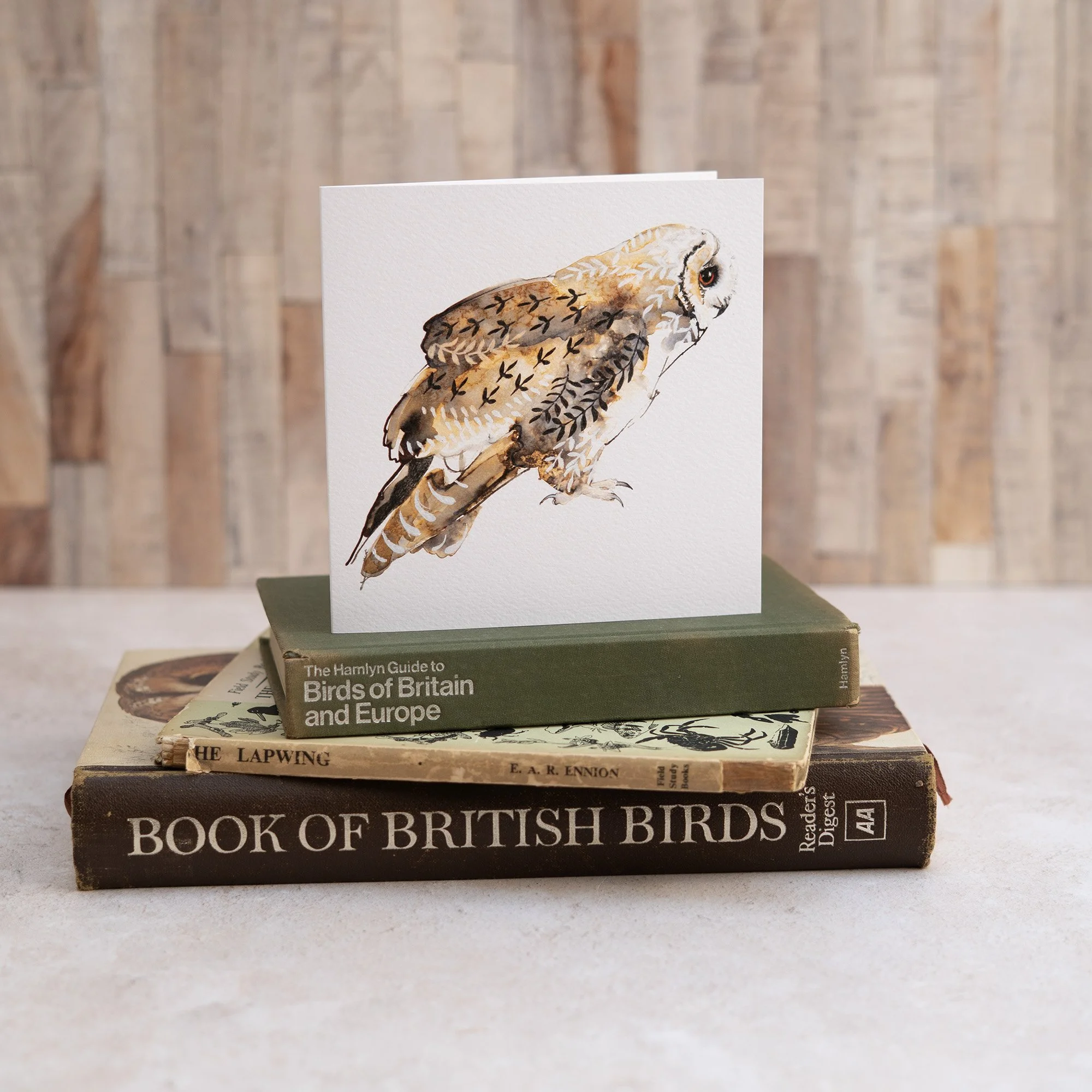 Shark Alley Long Eared Owl Greetings Card 2a.jpg