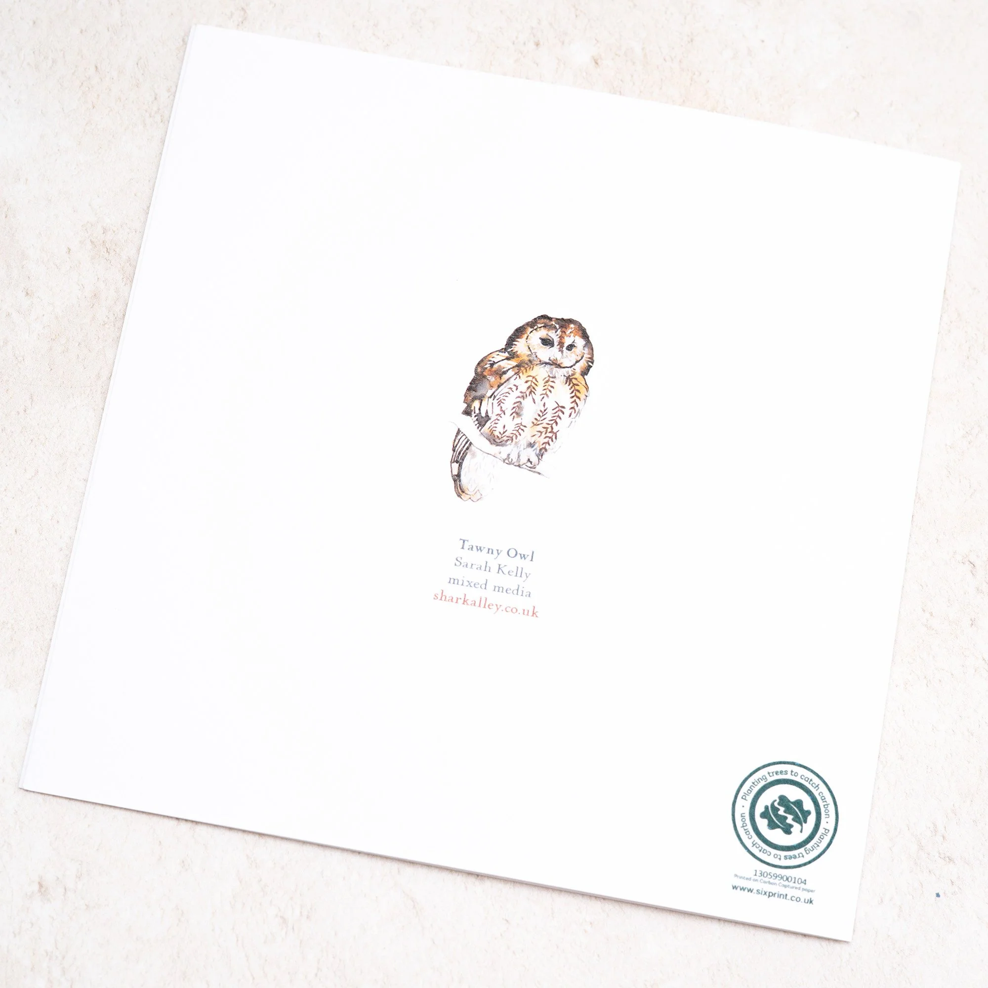 Shark Alley Tawny Owl Greetings Card 4.jpg