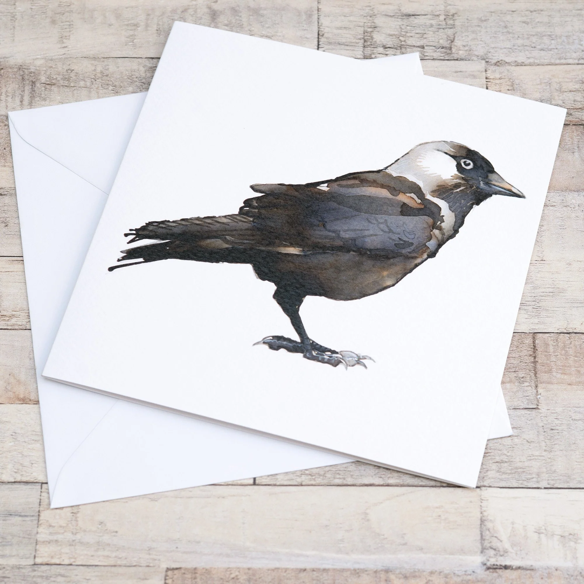 Shark Alley Jackdaw Greetings Card 1.jpg