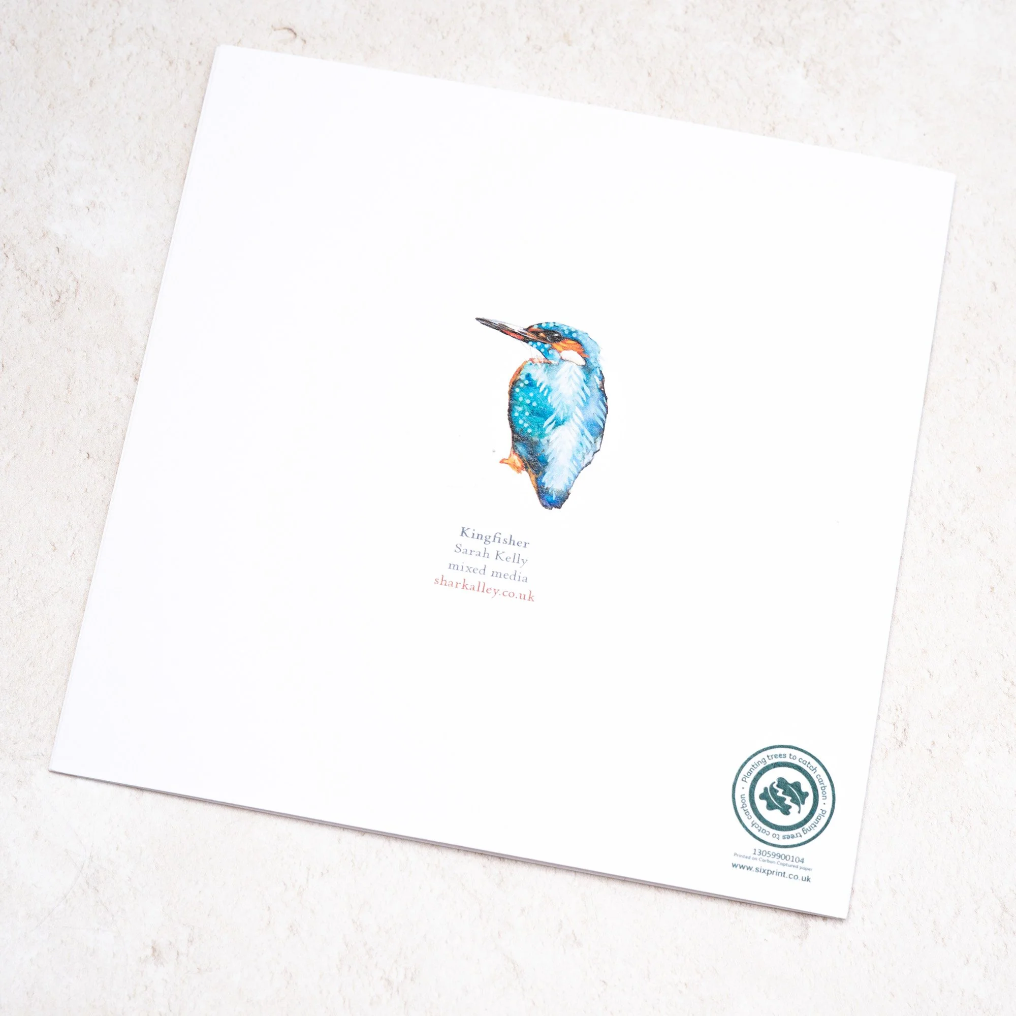 Shark Alley Kingfisher Greetings Card 4.jpg
